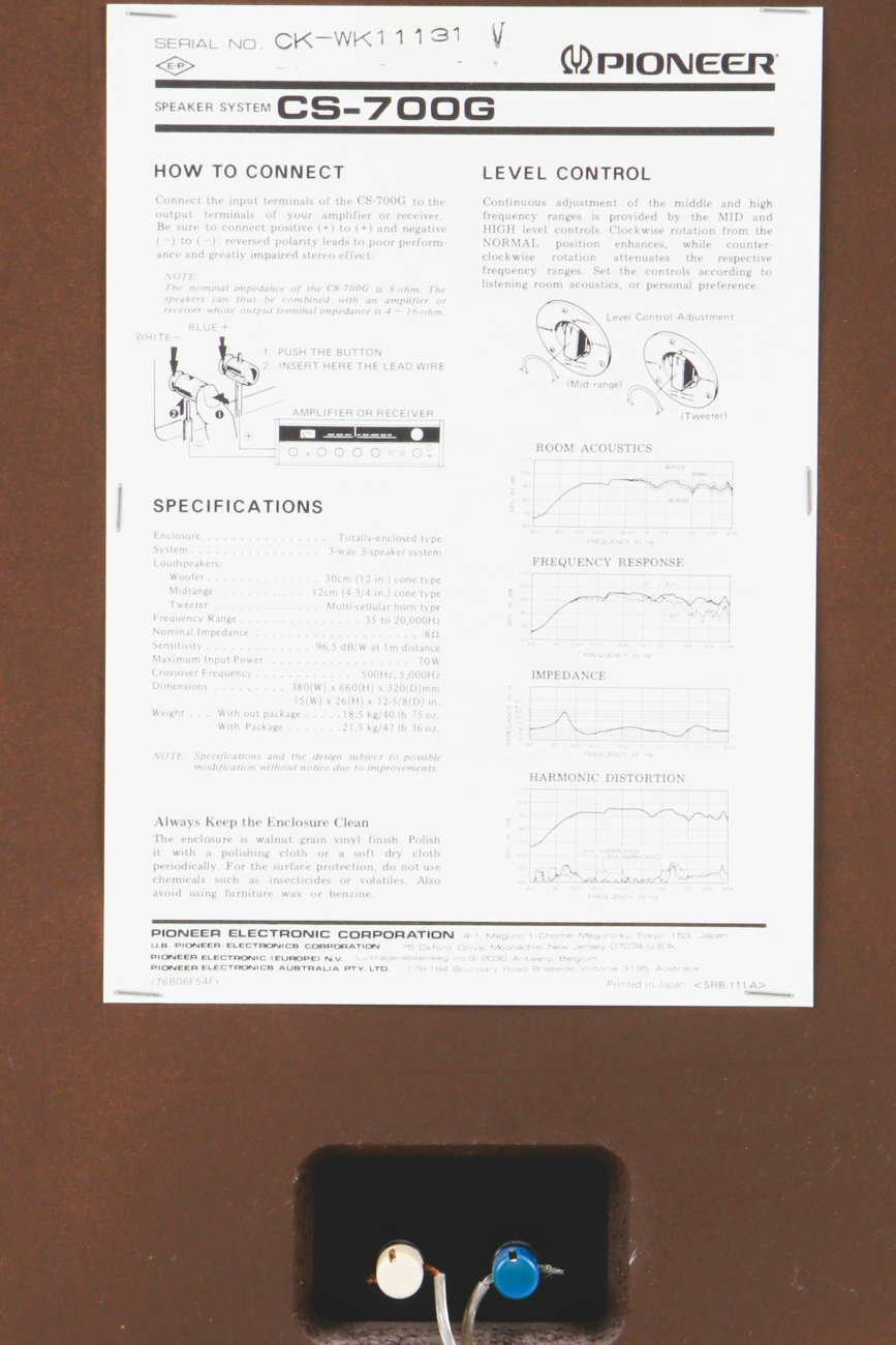 Pair of Pioneer CS-700G Floor Speakers