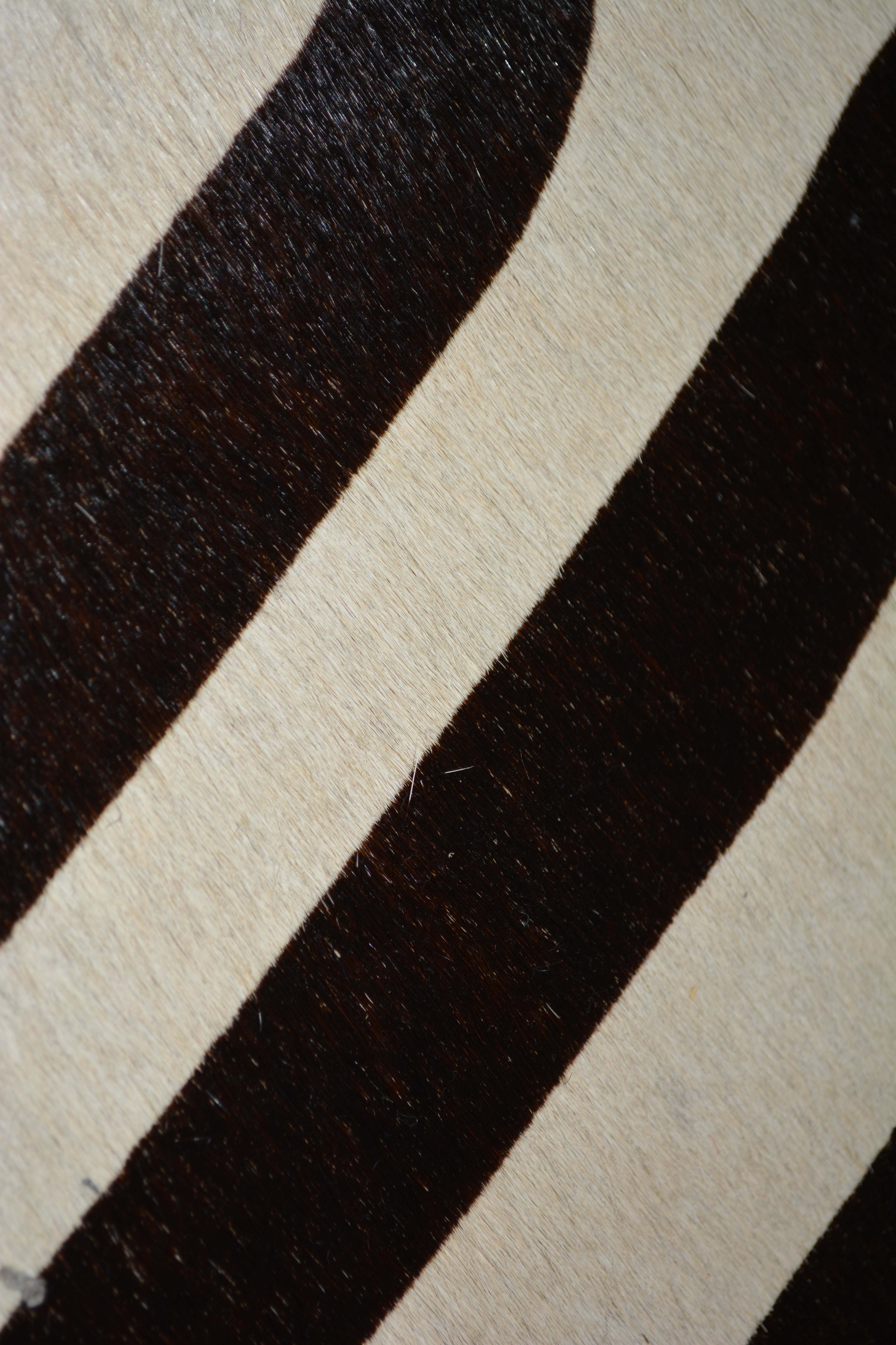 Silver Metal Cantilever Lounge Chair with Zebra Print Upholstery