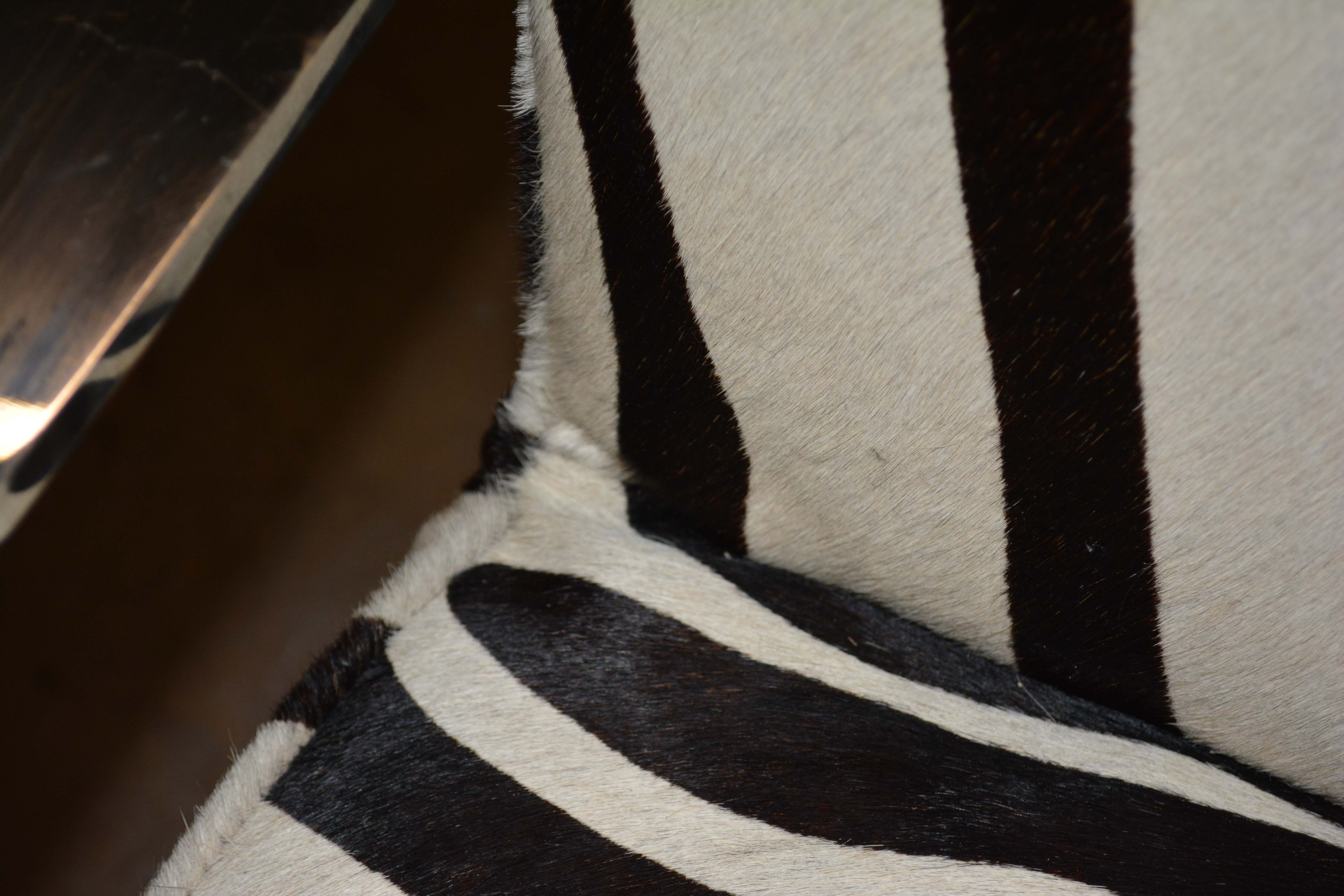 Silver Metal Cantilever Lounge Chair with Zebra Print Upholstery