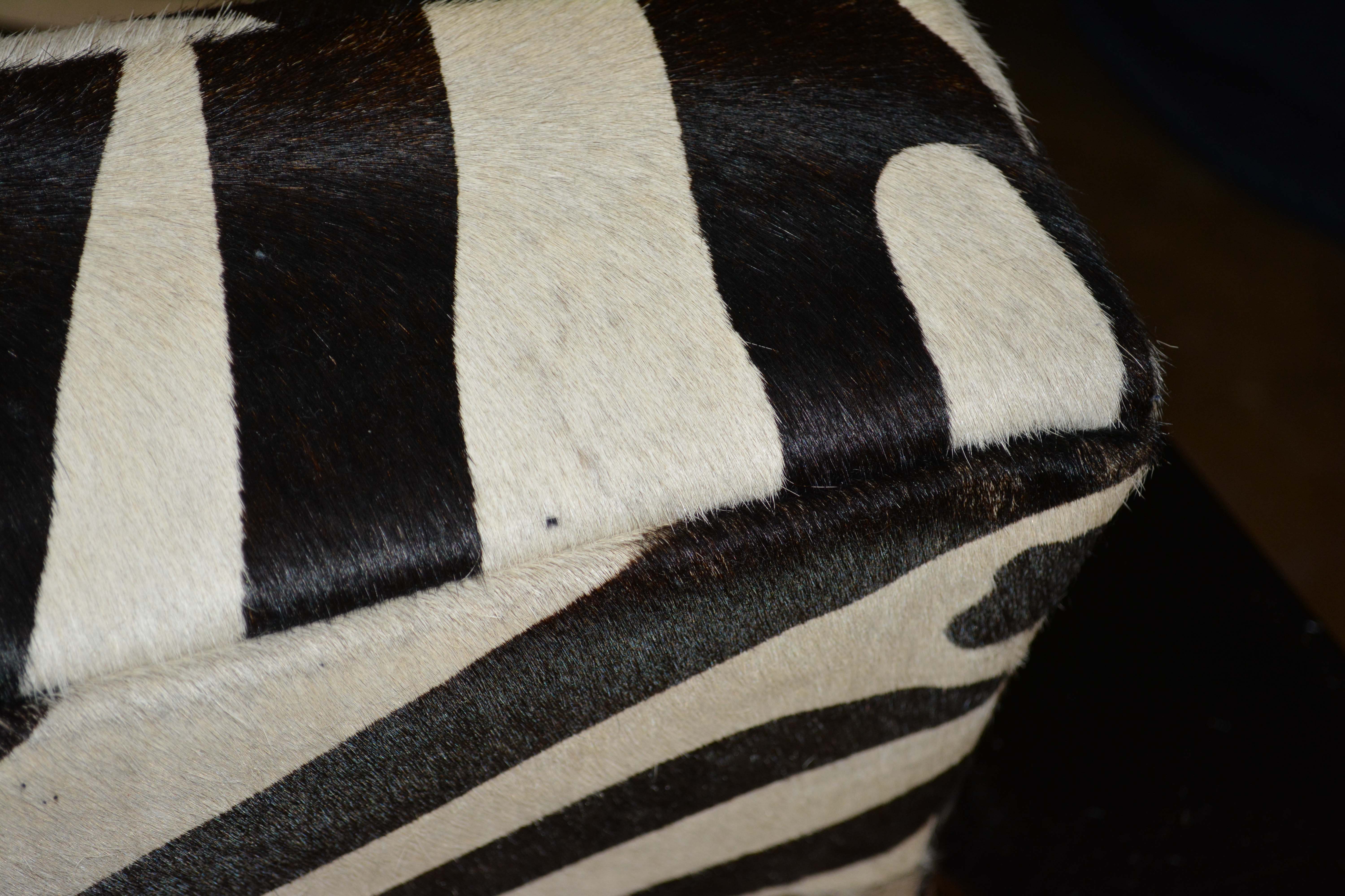 Silver Metal Cantilever Lounge Chair with Zebra Print Upholstery