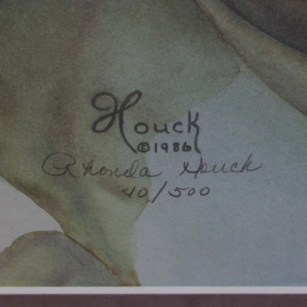 Vintage Rhonda Houck Ltd. Ed. Offset Lithograph on Paper of Iris Blooms