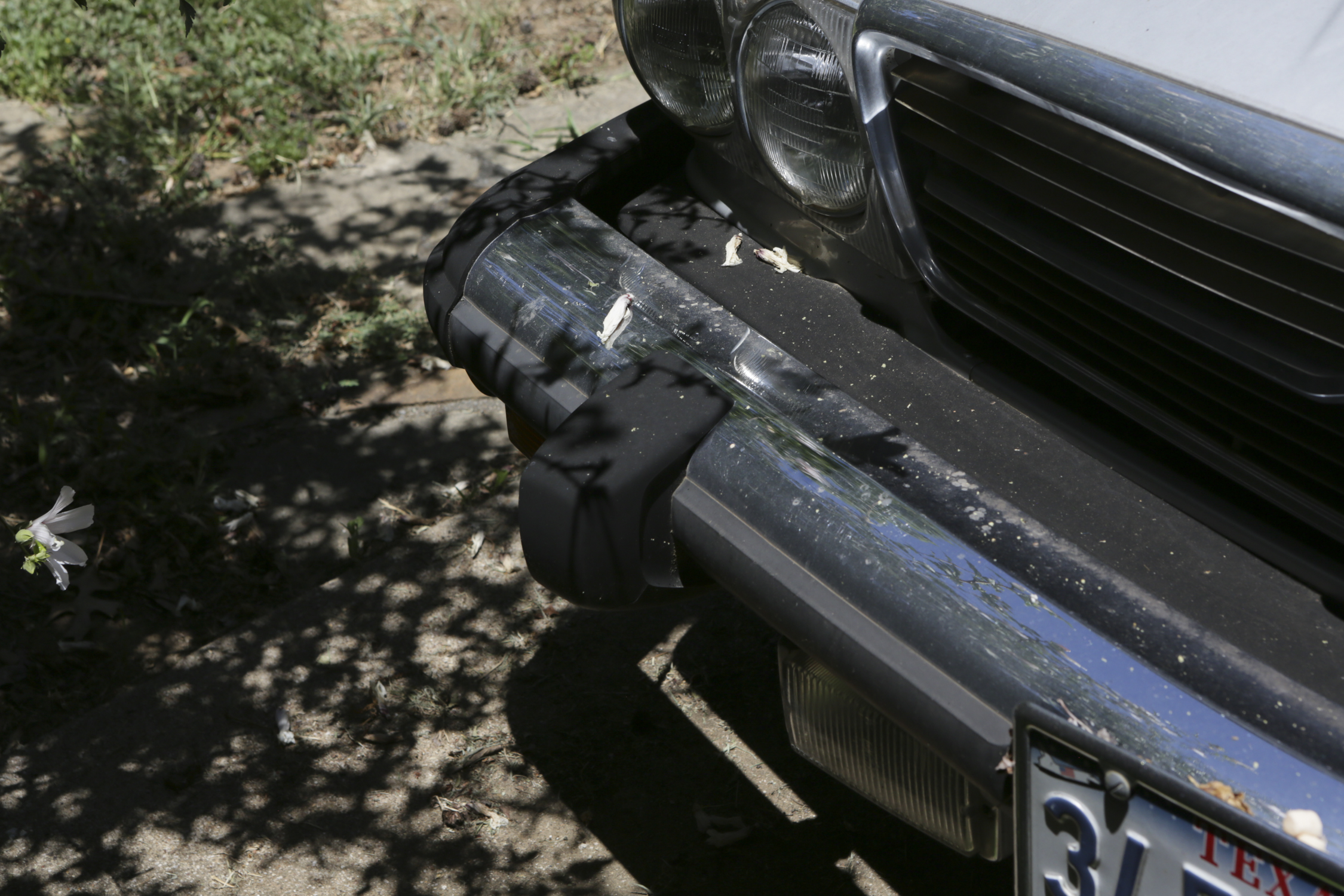 1980 Mercedes-Benz 450SL Convertible Roadster