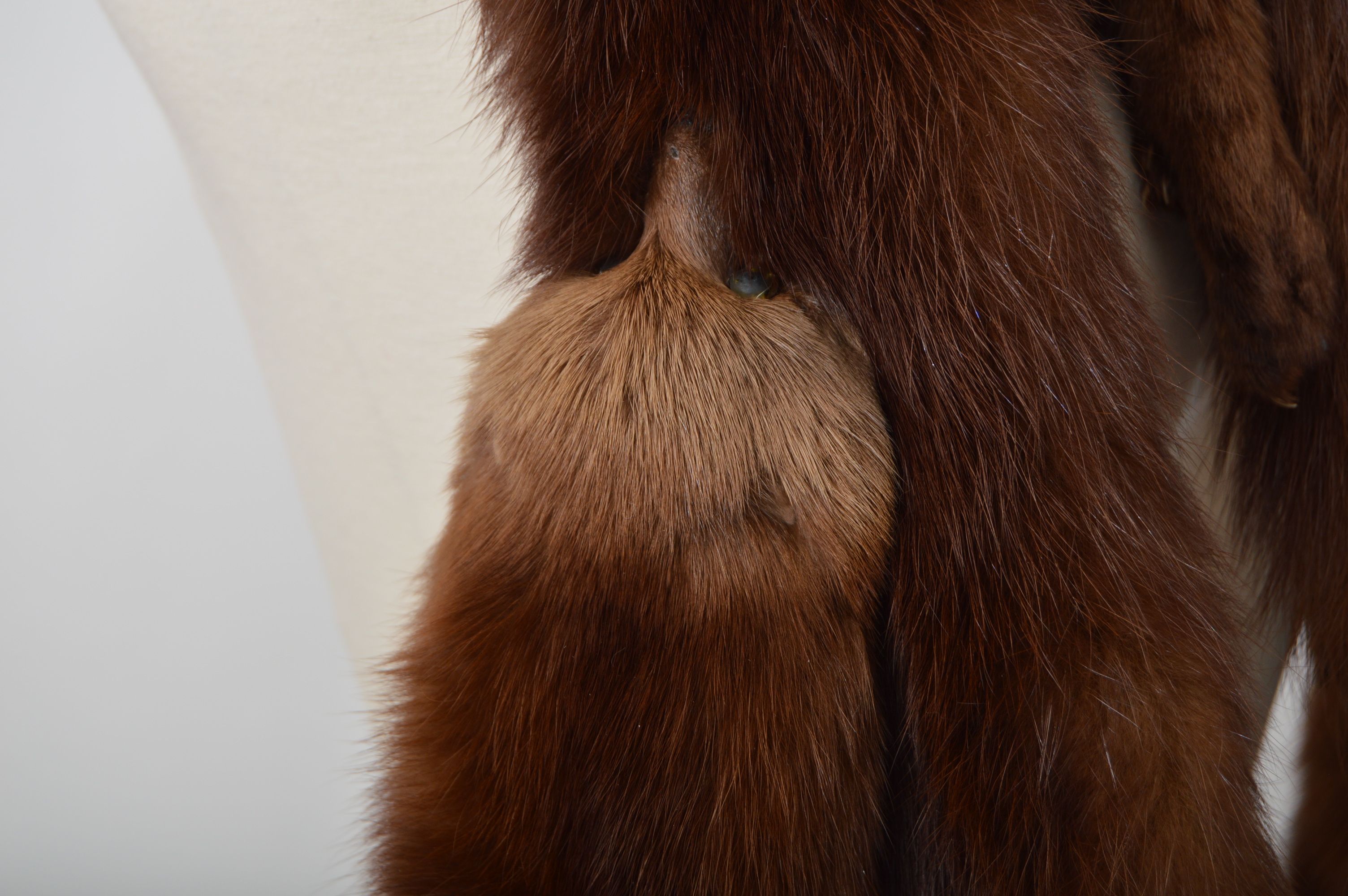 Vintage Fox Pelt Fur Stole