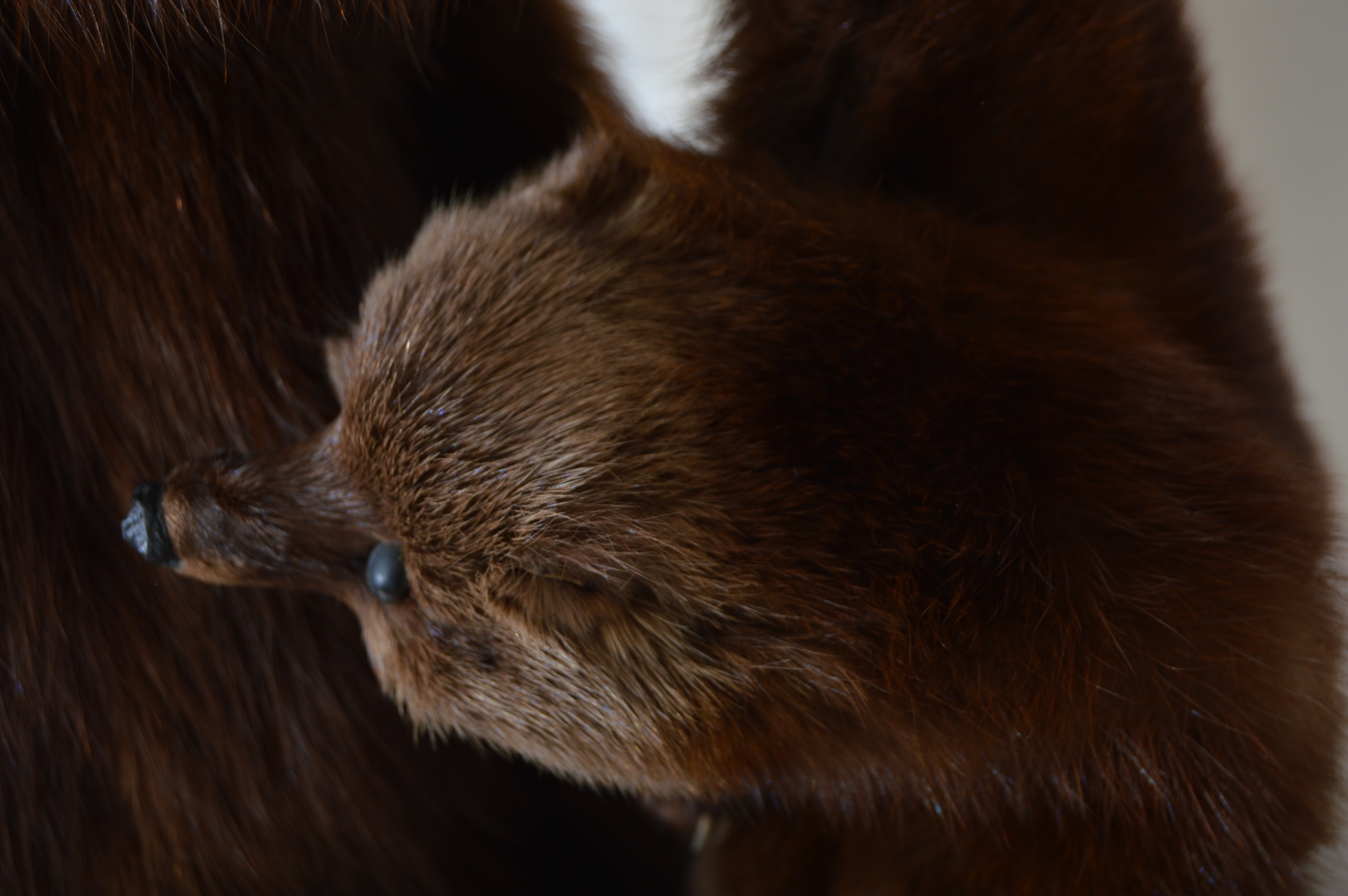 Vintage Fox Pelt Fur Stole