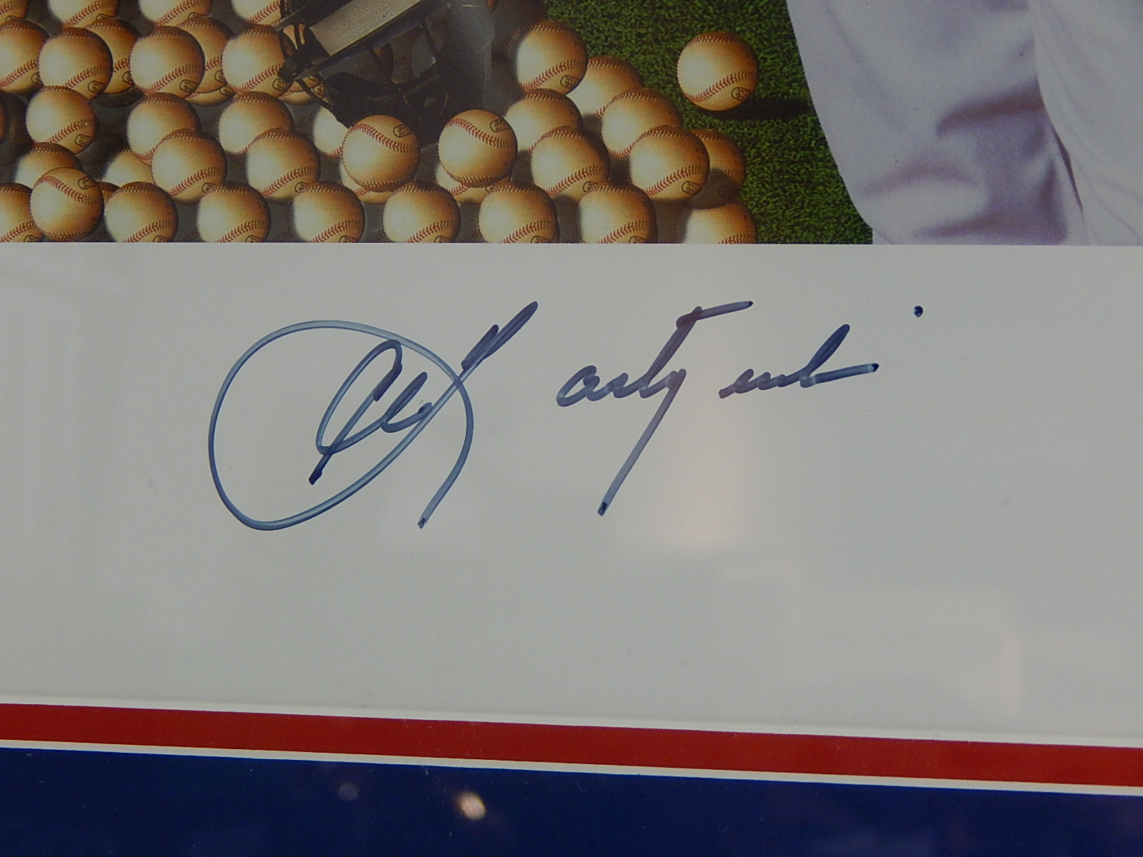 HOF Carl Yastrzemski "Taz n' Yaz" Signed Toon Art Cooperstown Collection Print