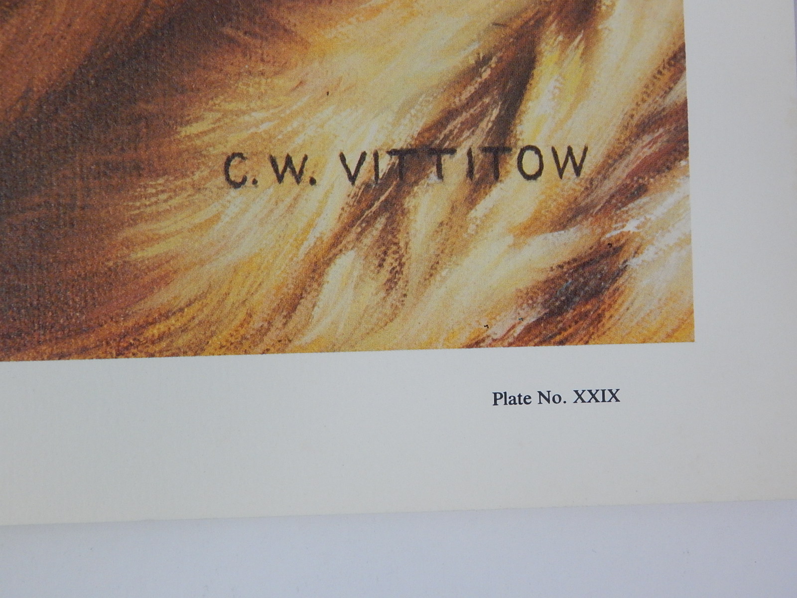 Unframed 1981 C.W. Vittitow "Siberian Tiger" Signed Limited Edition Lithograph