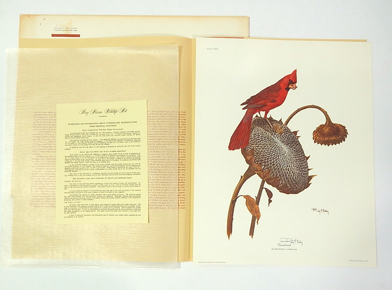 1969 Unframed Ray Harm "Cardinal" Signed Lithograph Print