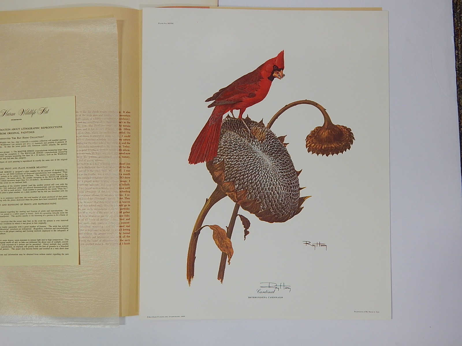 1969 Unframed Ray Harm "Cardinal" Signed Lithograph Print