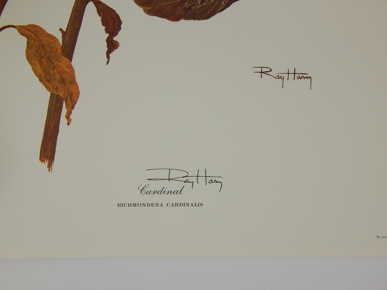 1969 Unframed Ray Harm "Cardinal" Signed Lithograph Print