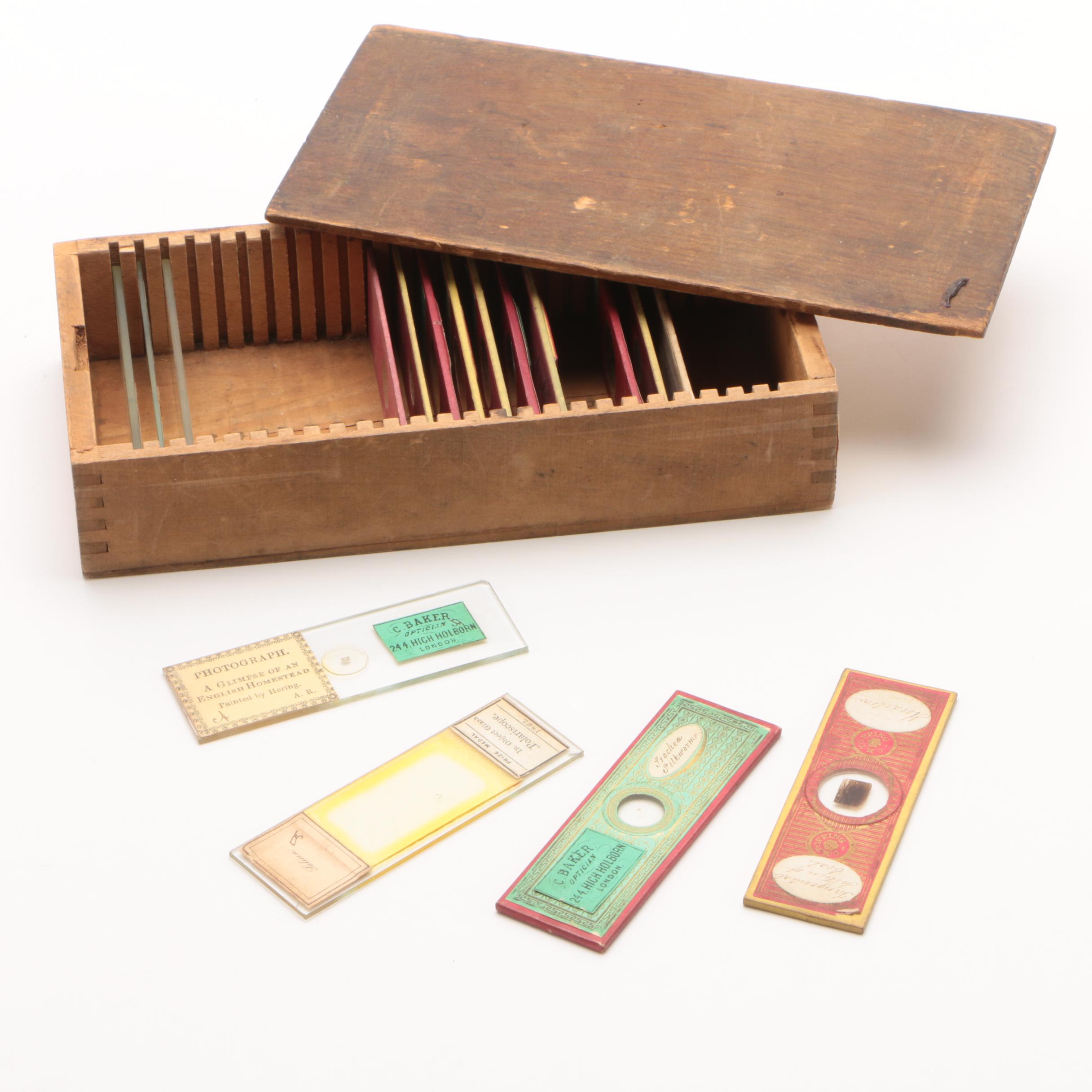 Antique Slide Box with Photograph and Specimen Slides