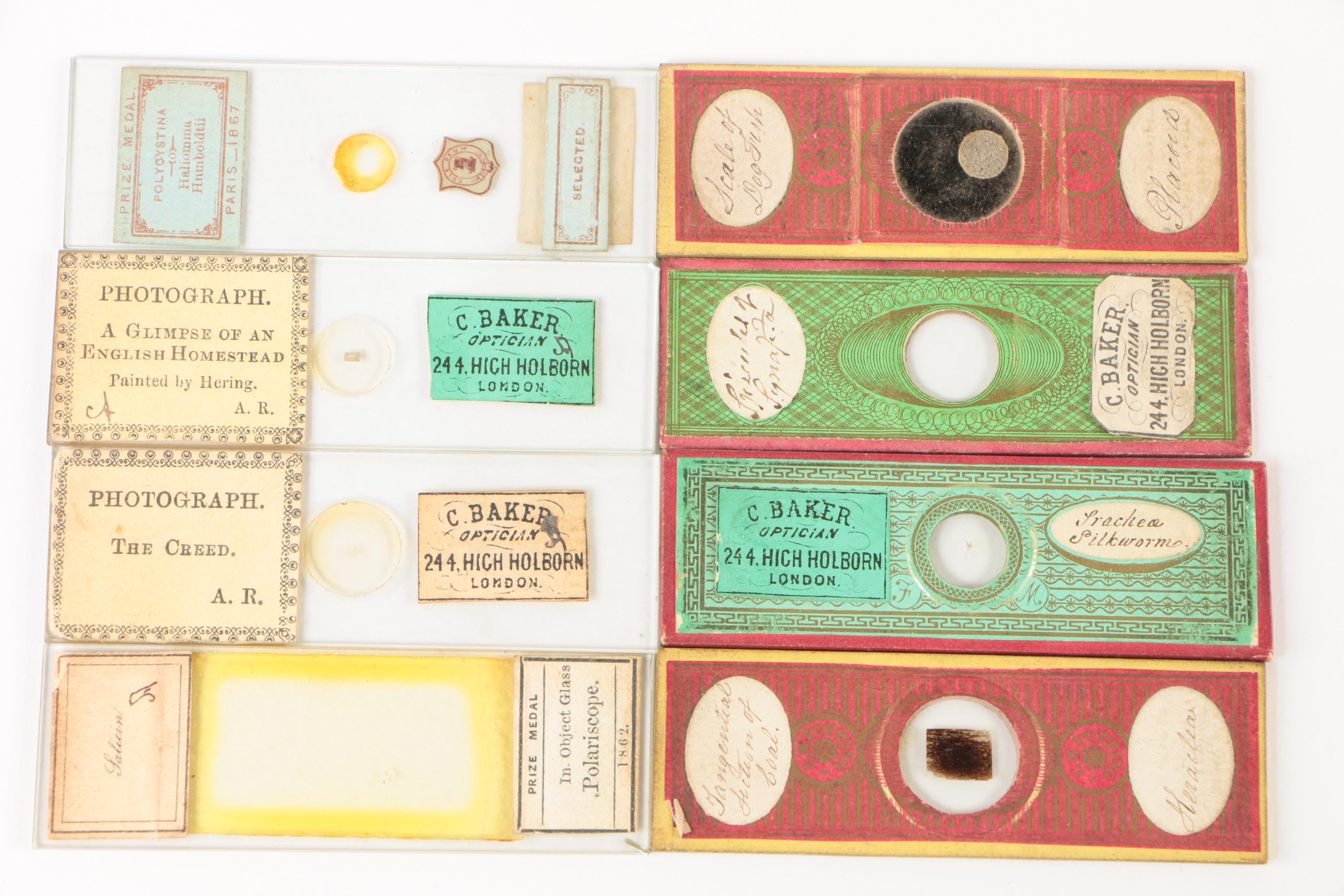 Antique Slide Box with Photograph and Specimen Slides