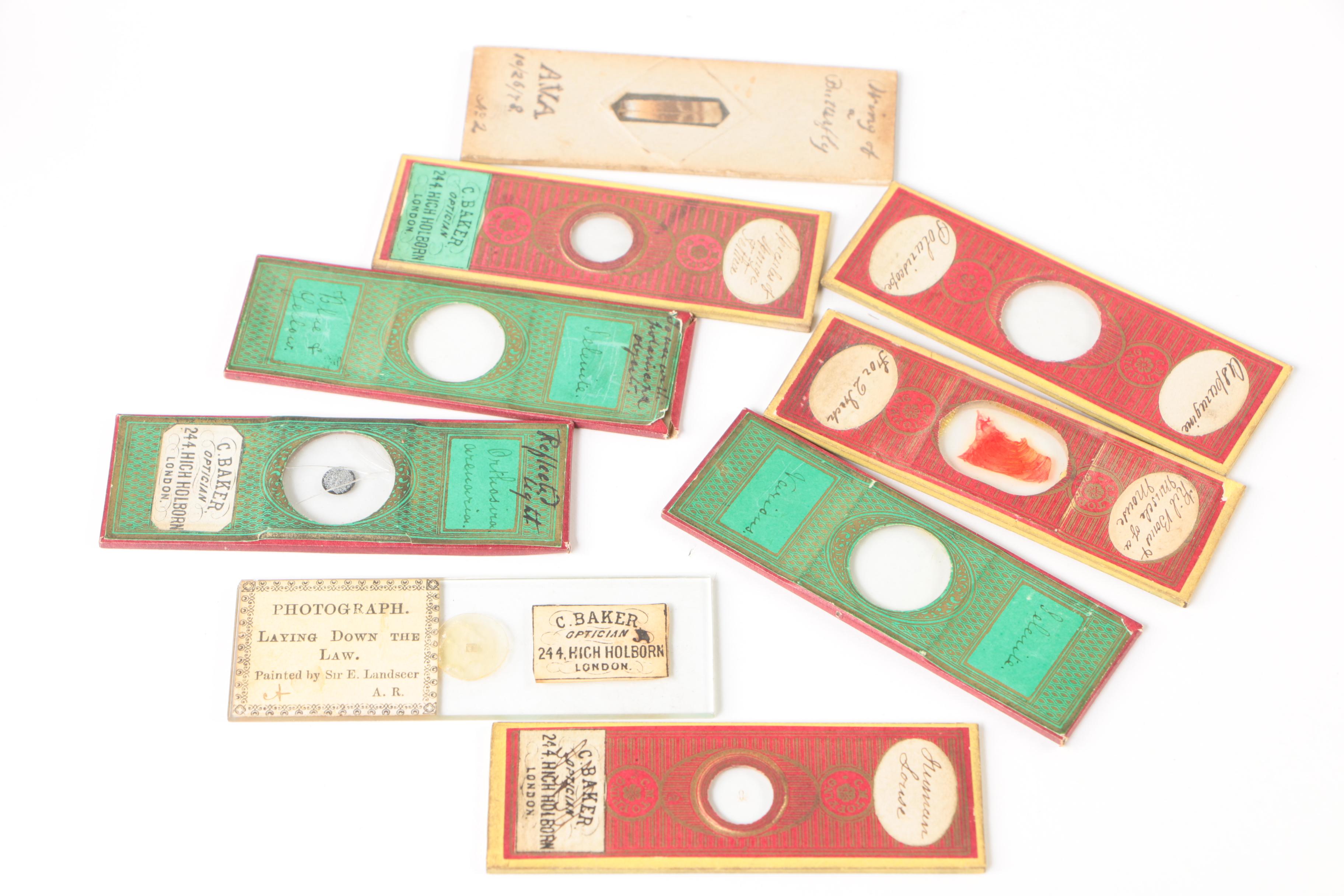 Antique Slide Box with Photograph and Specimen Slides