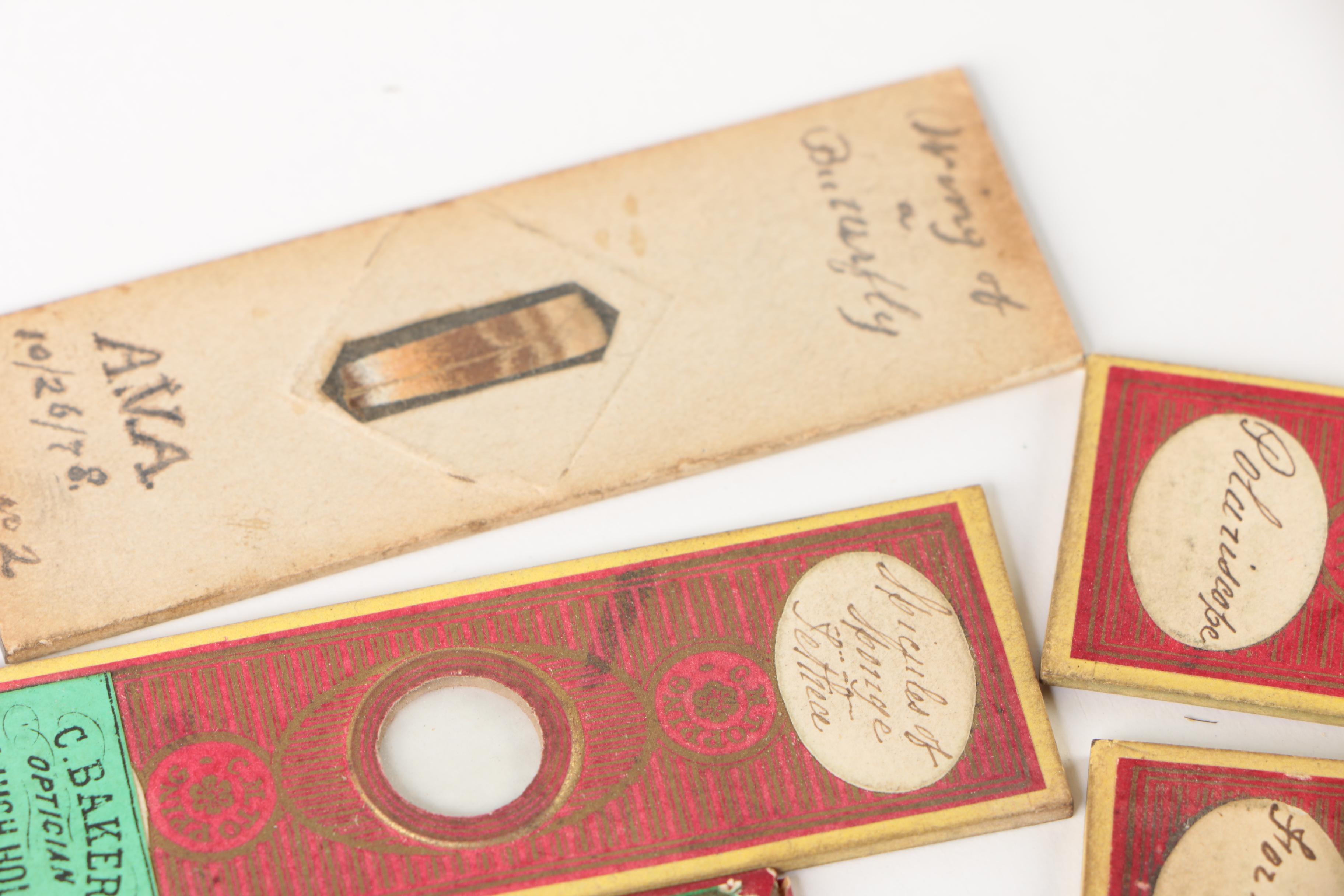 Antique Slide Box with Photograph and Specimen Slides