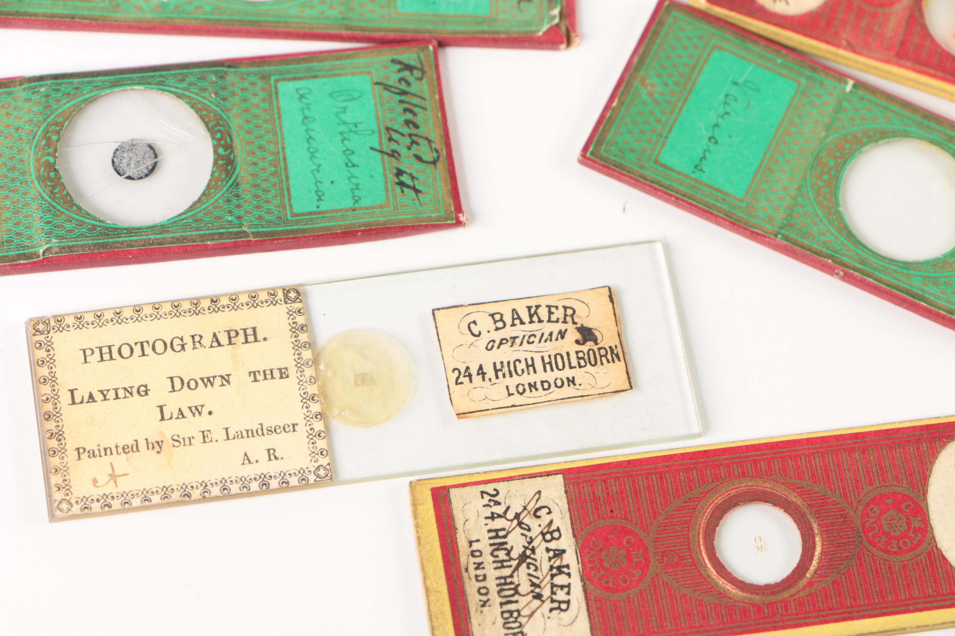Antique Slide Box with Photograph and Specimen Slides
