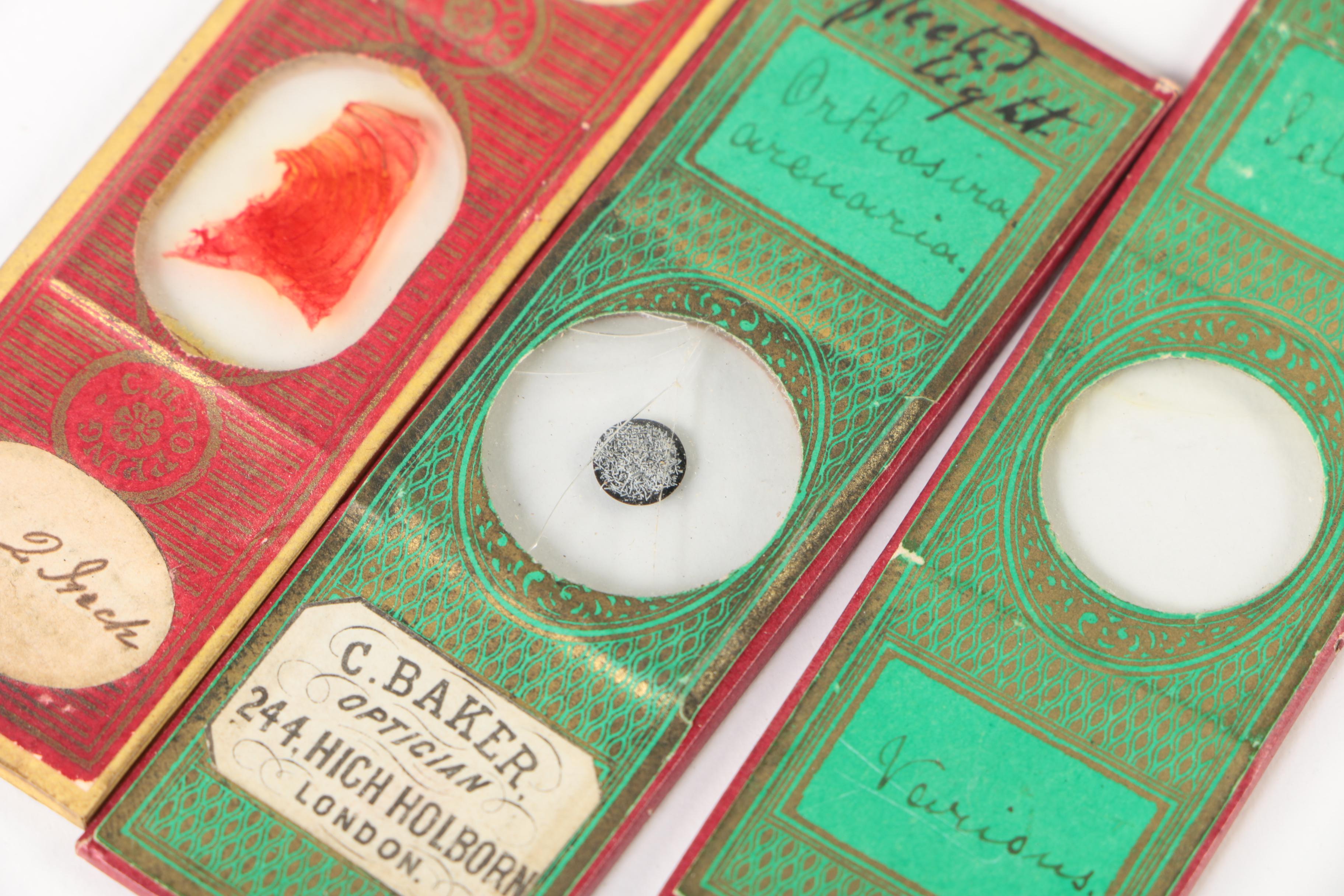 Antique Slide Box with Photograph and Specimen Slides