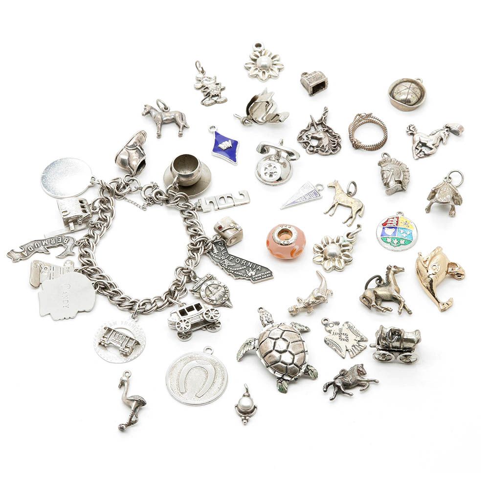 Costume and Sterling Silver Lampwork Glass and Enamel Charm Bracelet and Charms