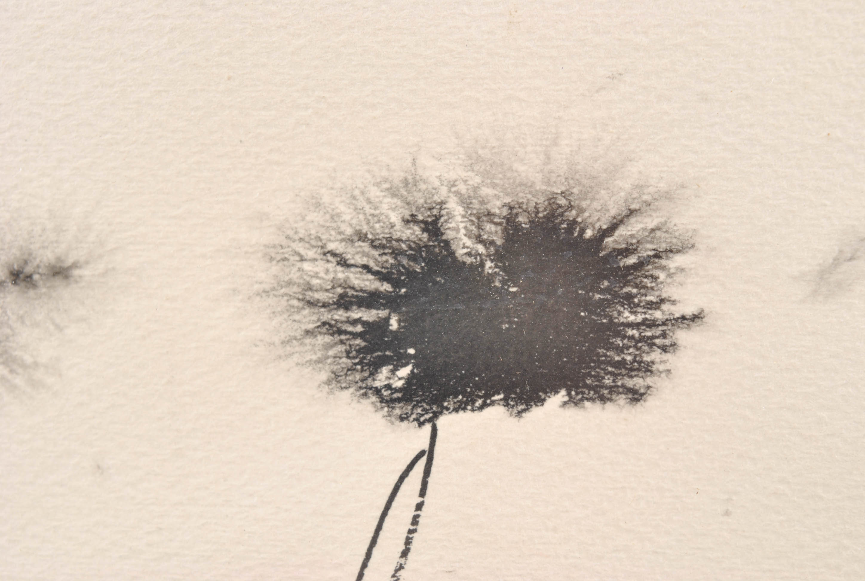 Pen and Ink Landscape Drawing