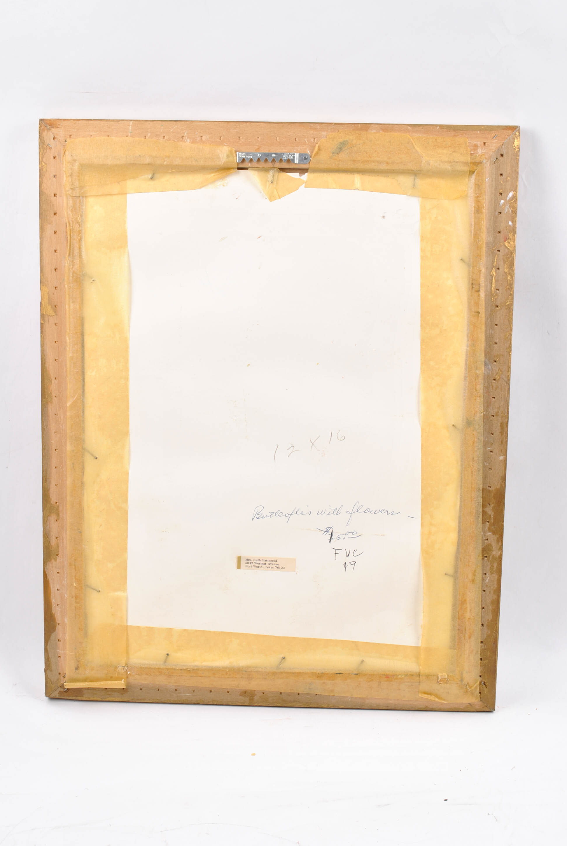 Ruth Eastwood Butterfly Paintings