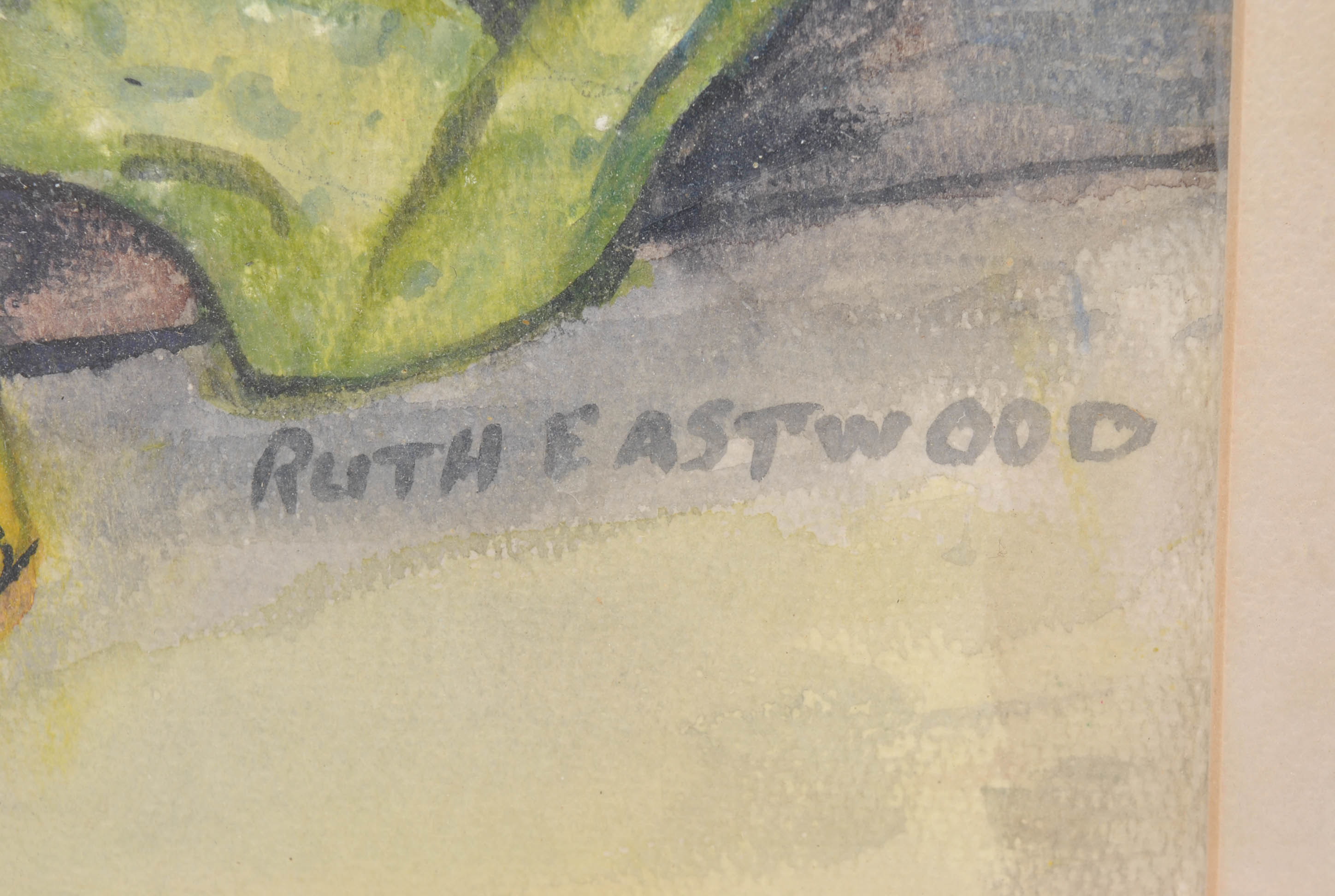 Ruth Eastwood Watercolor Still Life Paintings