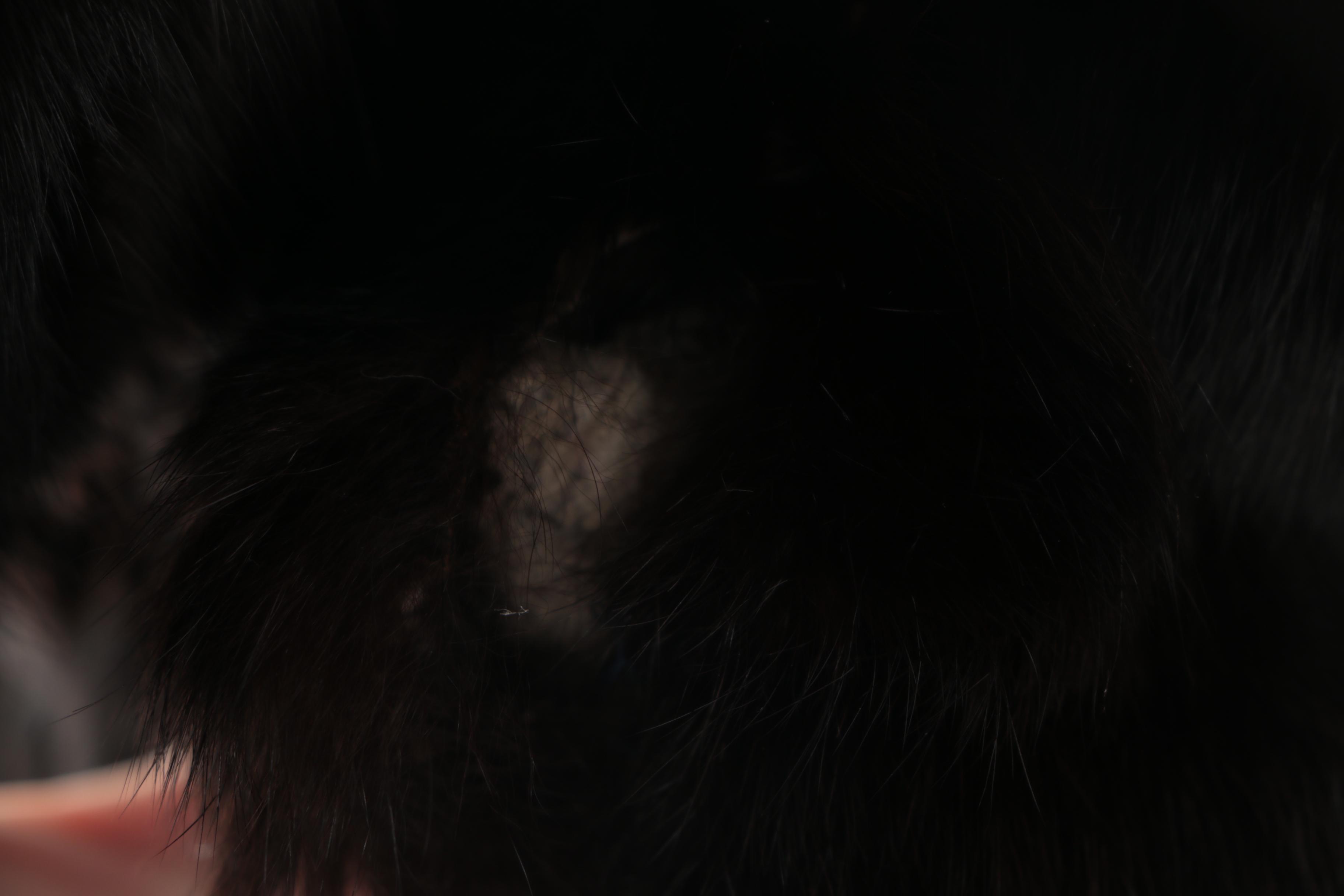 Women's Black and Brown Rabbit Fur Coat