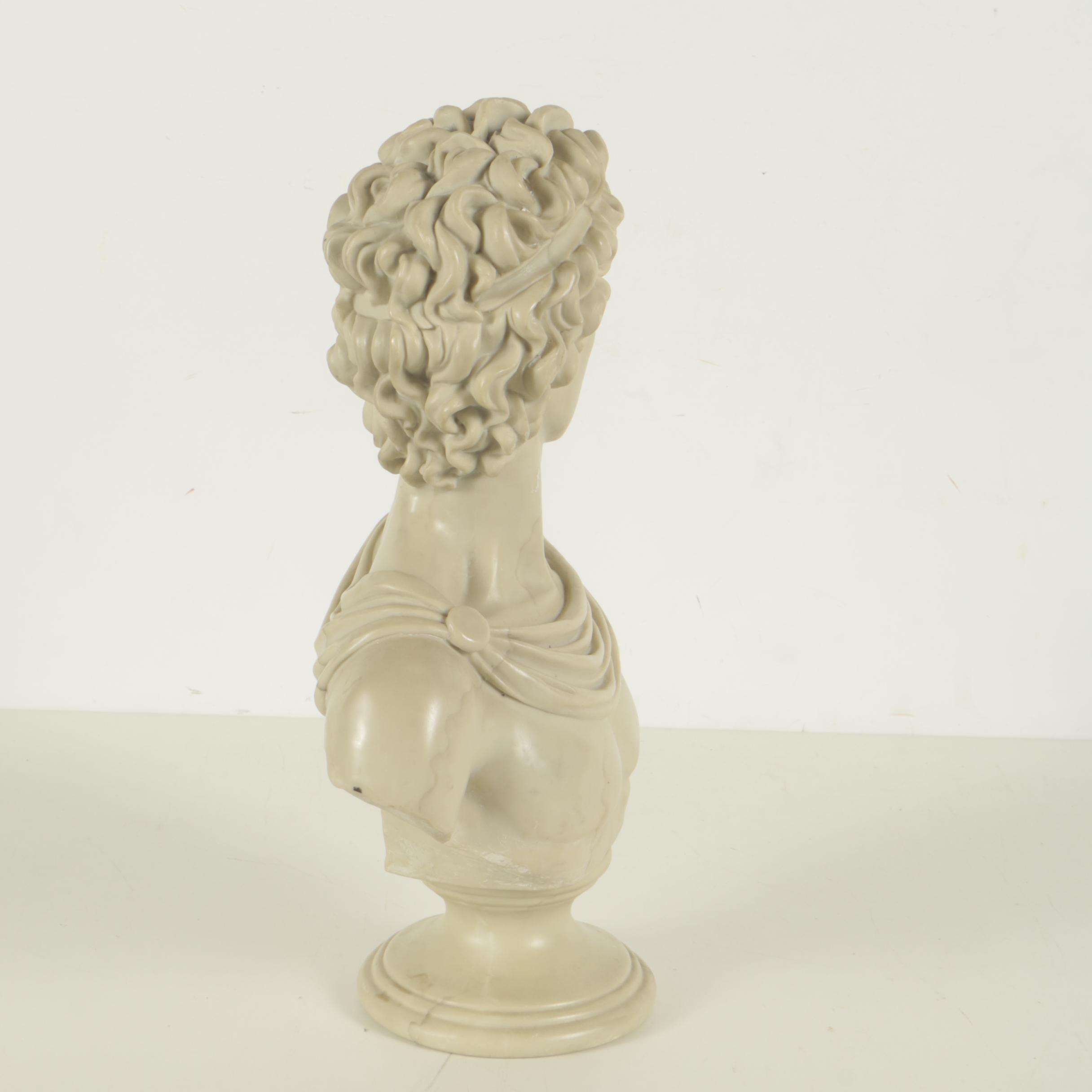Contemporary Resin Bust after Apollo Belvedere