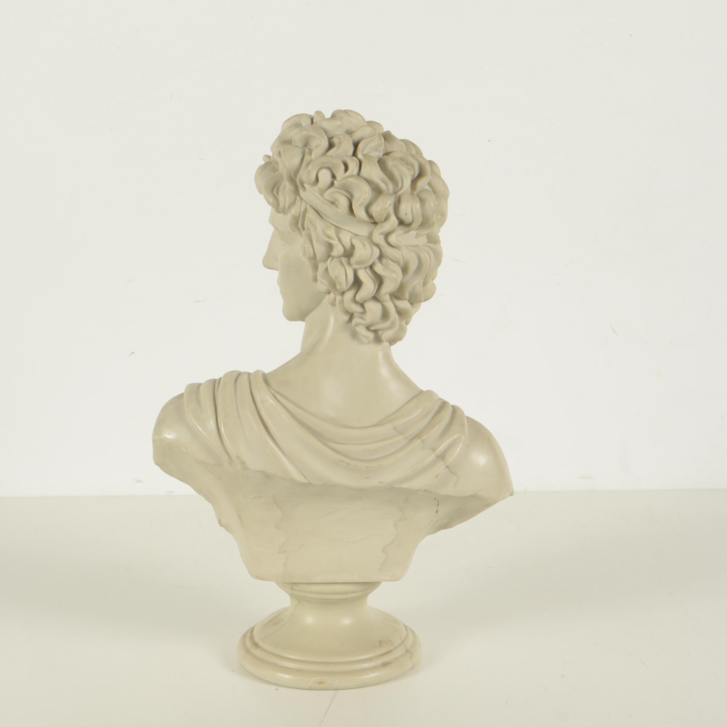 Contemporary Resin Bust after Apollo Belvedere