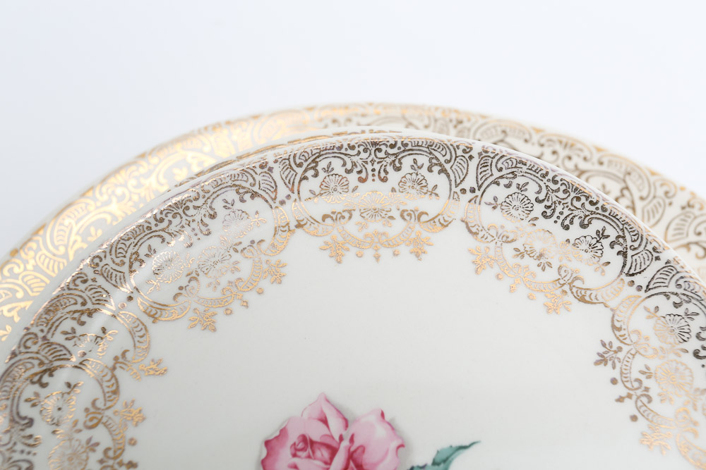 Vintage Crooksville "Delmar Rose" Dinnerware