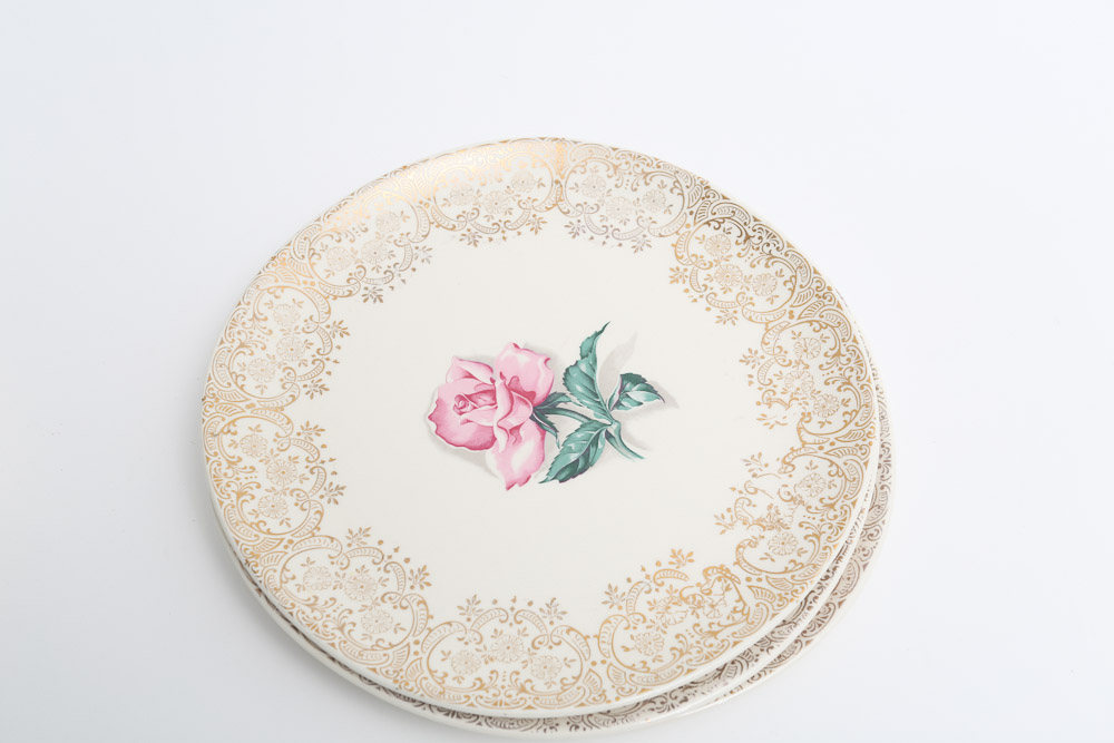 Vintage Crooksville "Delmar Rose" Dinnerware