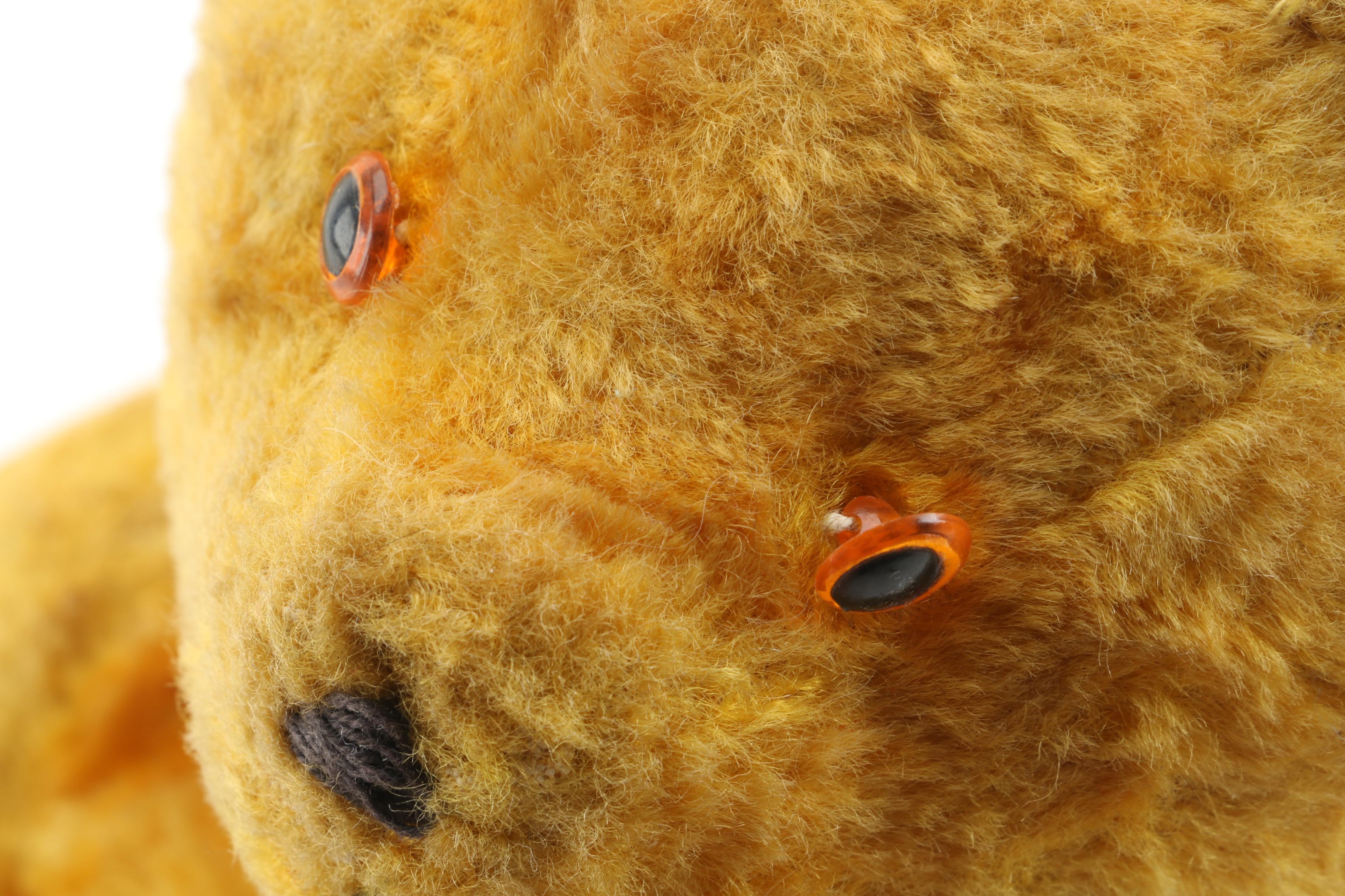 Circa 1950s Musical Teddy Bear