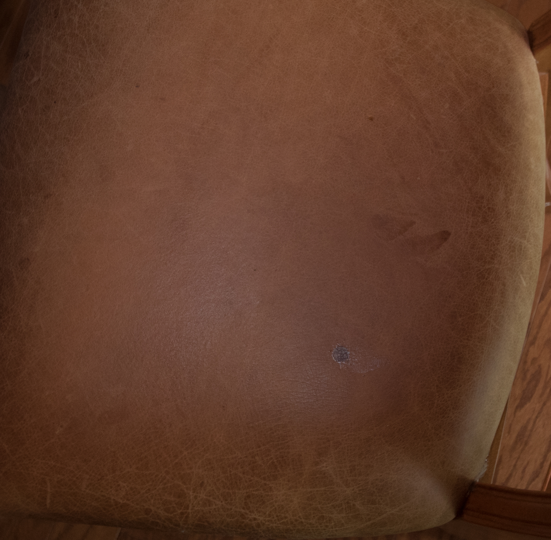 Six Wood and Leather Dining Chairs