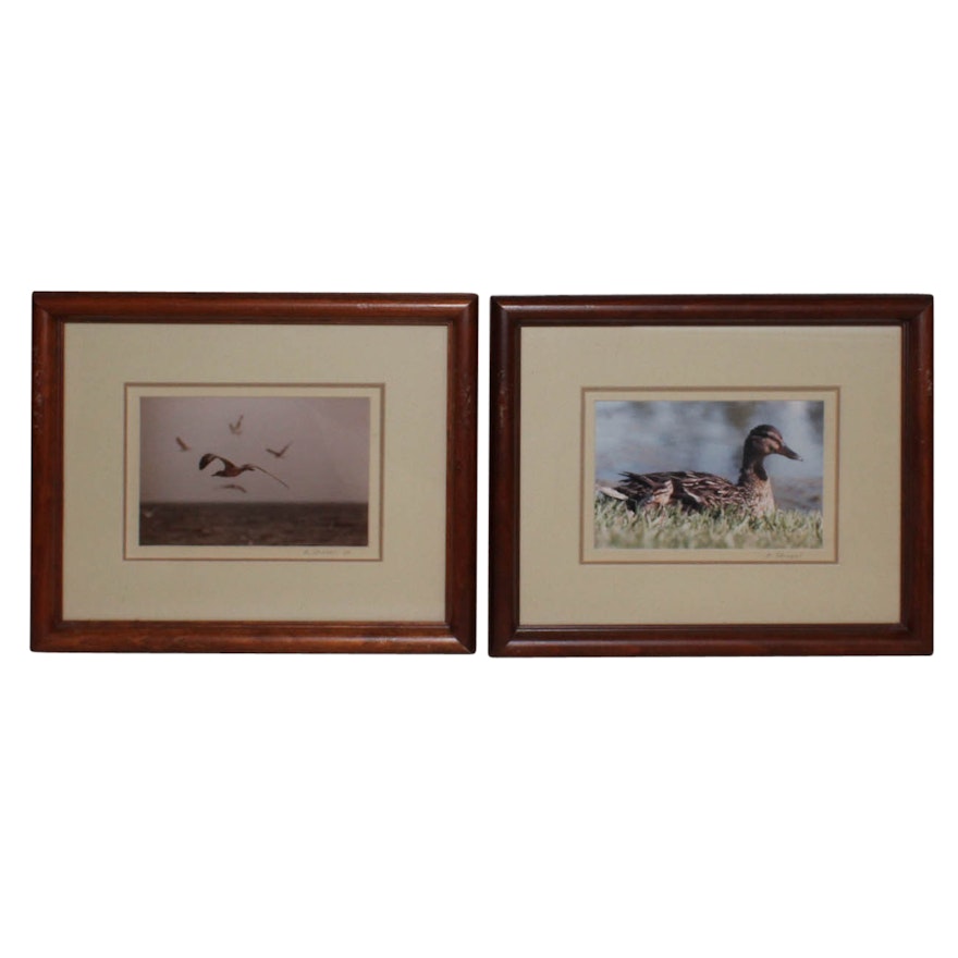 Two Framed M. Strobel Photographic Prints