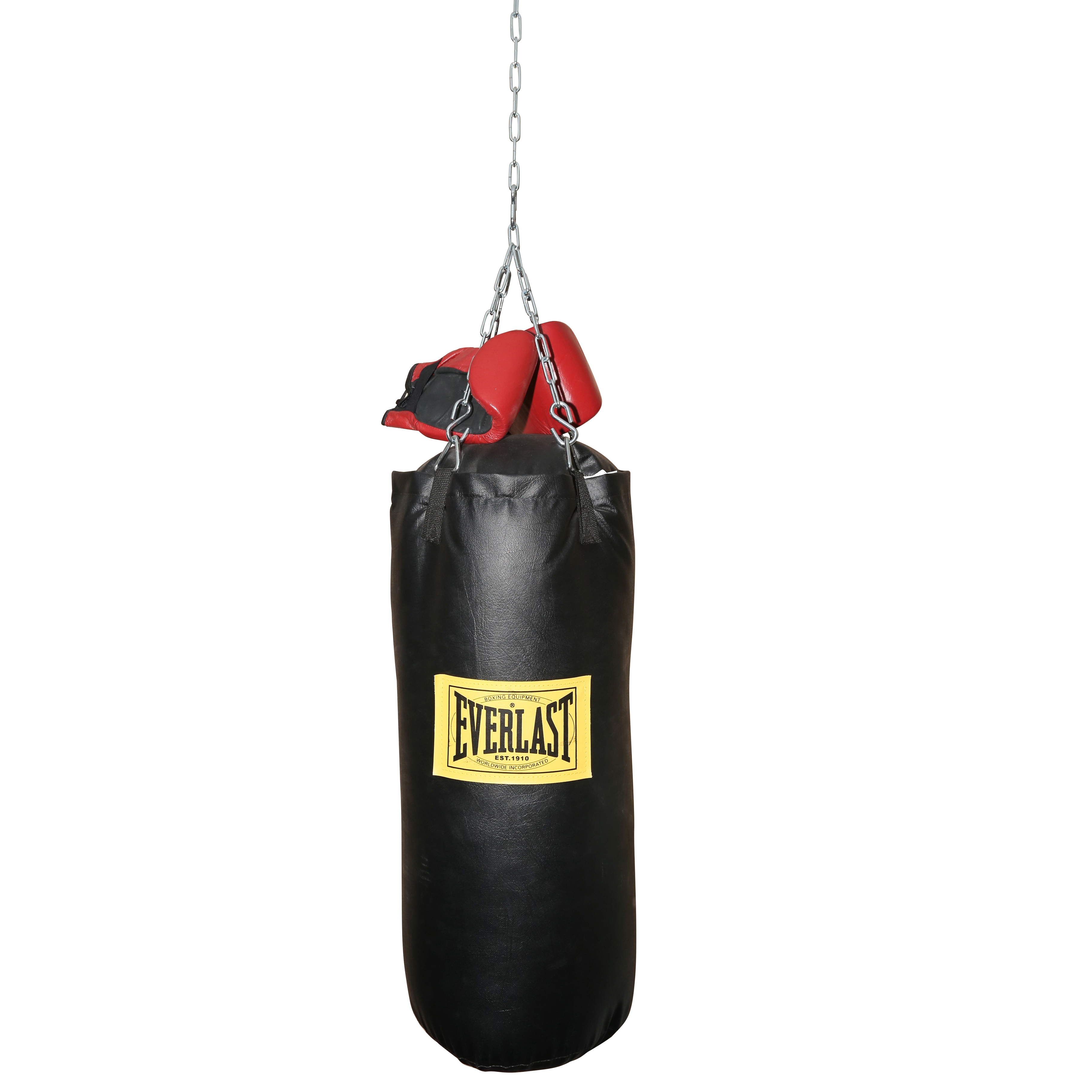 Everlast Punching Bag with Ringside Boxing Gloves