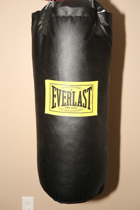 Everlast Punching Bag with Ringside Boxing Gloves