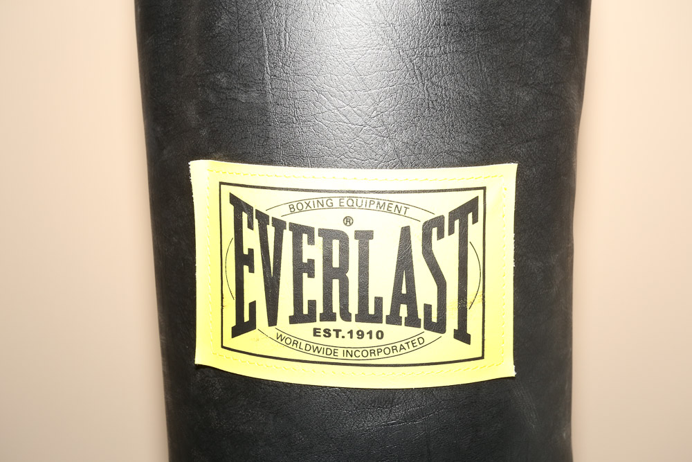 Everlast Punching Bag with Ringside Boxing Gloves