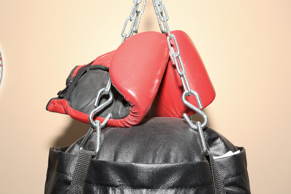 Everlast Punching Bag with Ringside Boxing Gloves