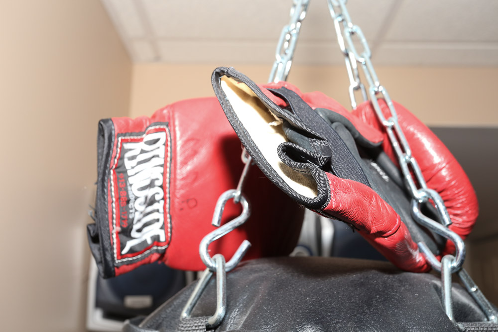 Everlast Punching Bag with Ringside Boxing Gloves