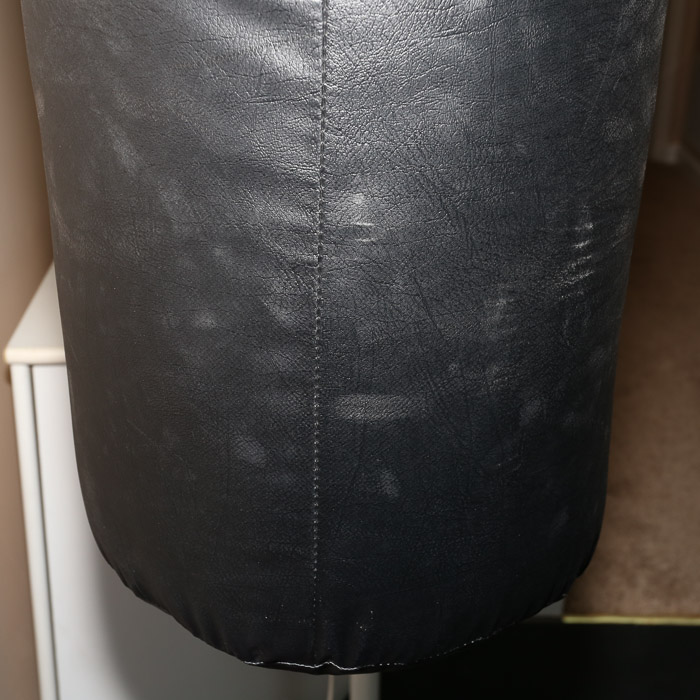 Everlast Punching Bag with Ringside Boxing Gloves