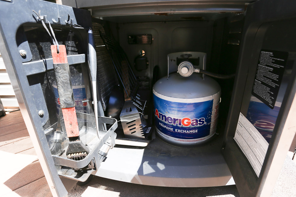 Blue Ember by Fiesta Gas Grill