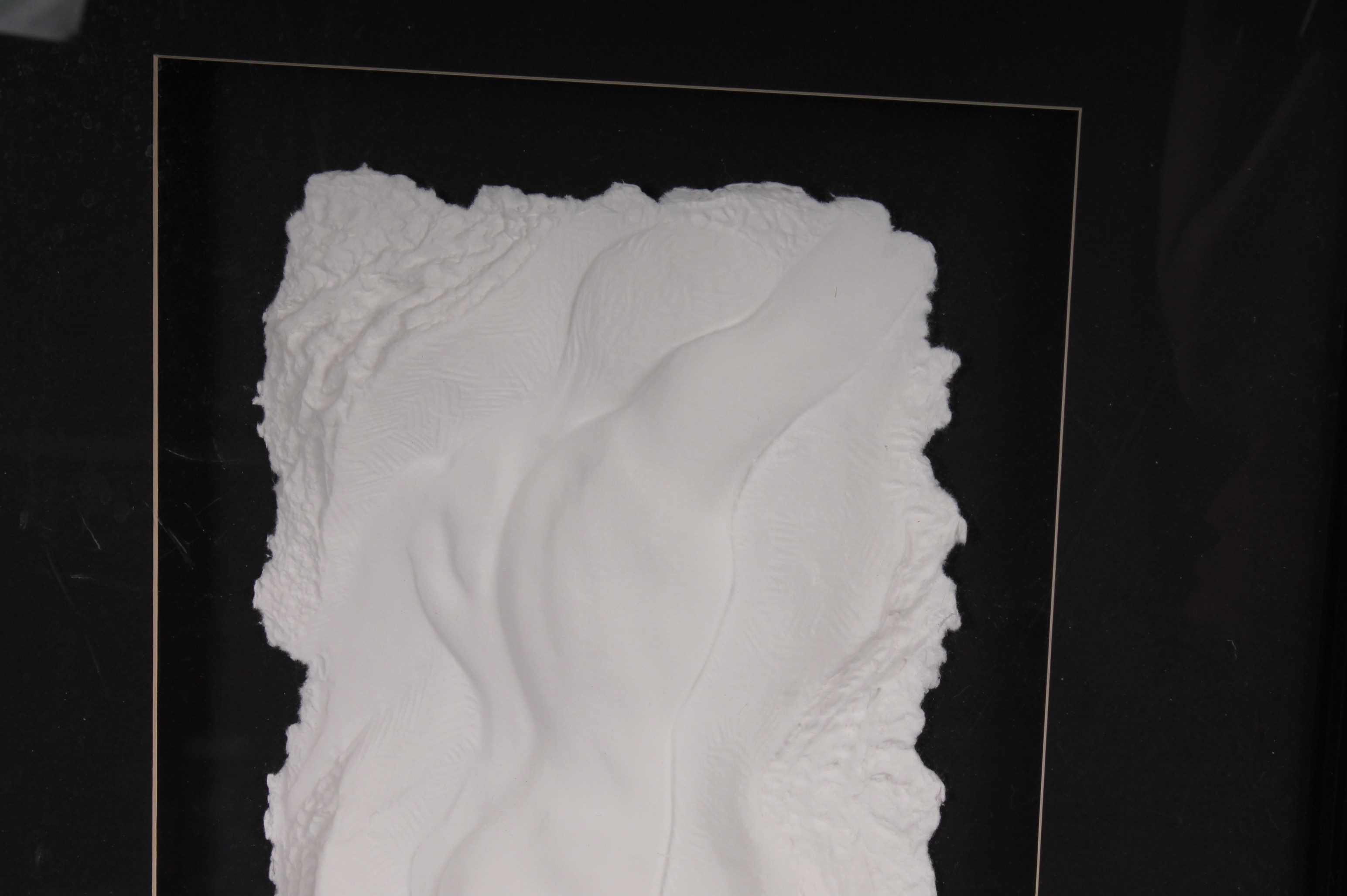 Roberta Peck Cast Paper Sculptures