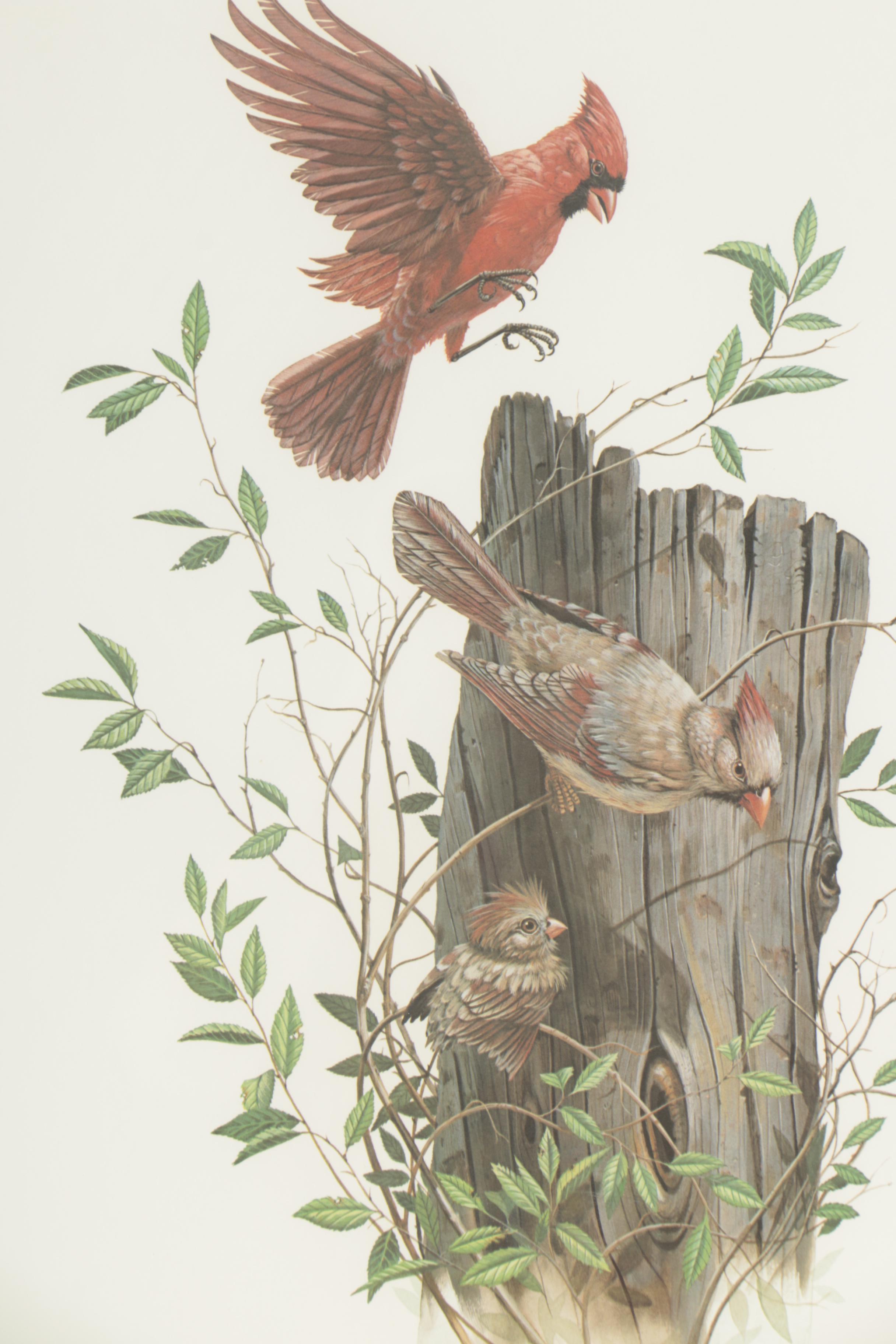 Don Balke Limited Edition Offset Lithograph "Cardinal Family"