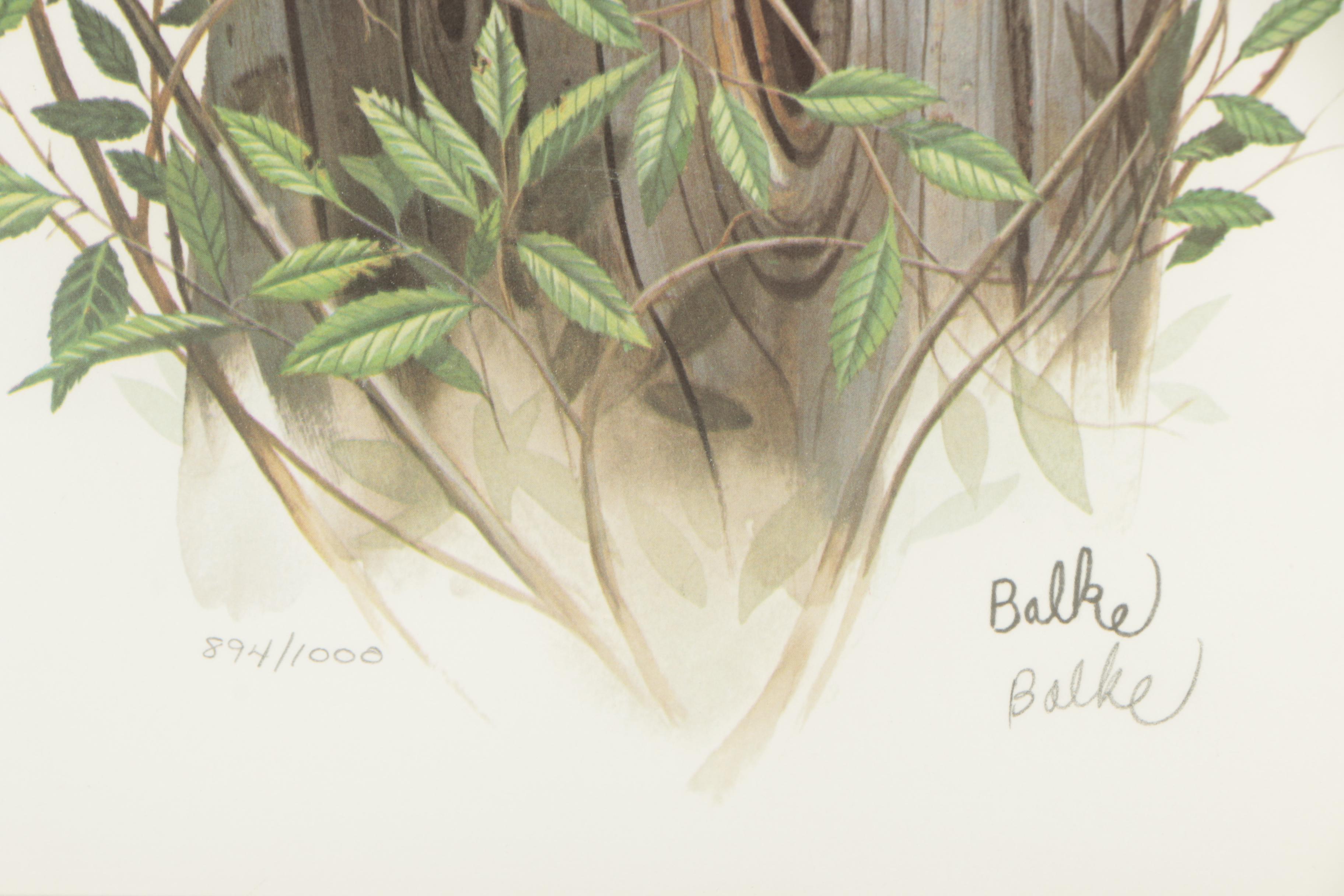 Don Balke Limited Edition Offset Lithograph "Cardinal Family"