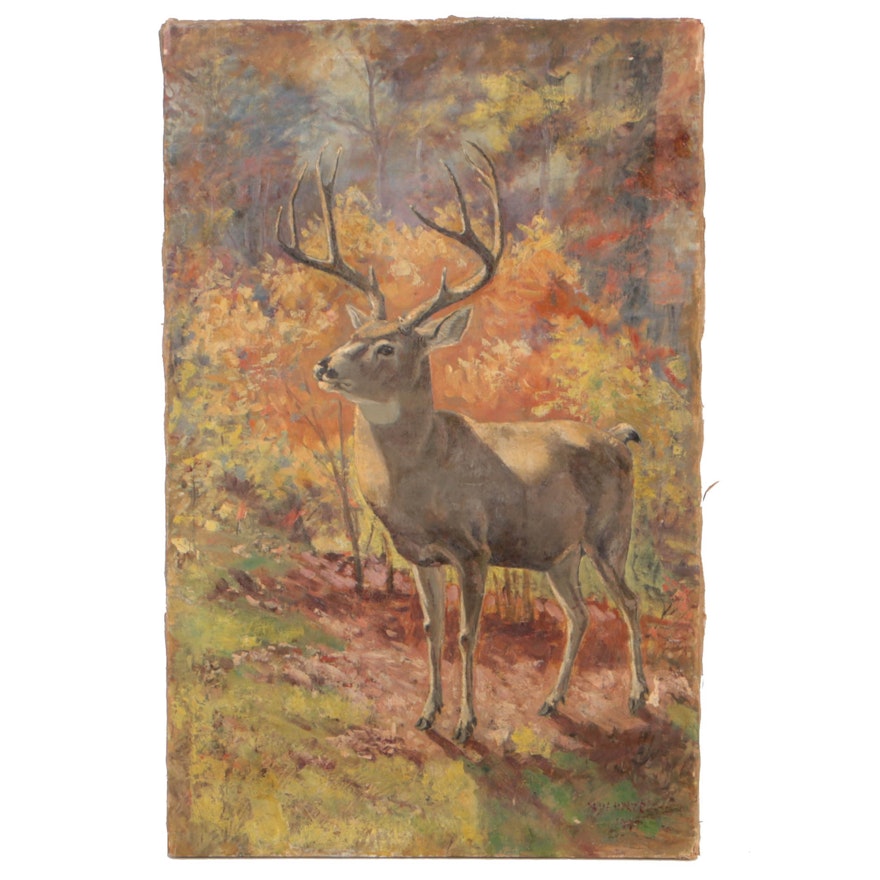 Paul Herzel 1919 Oil Painting on Canvas of a Buck