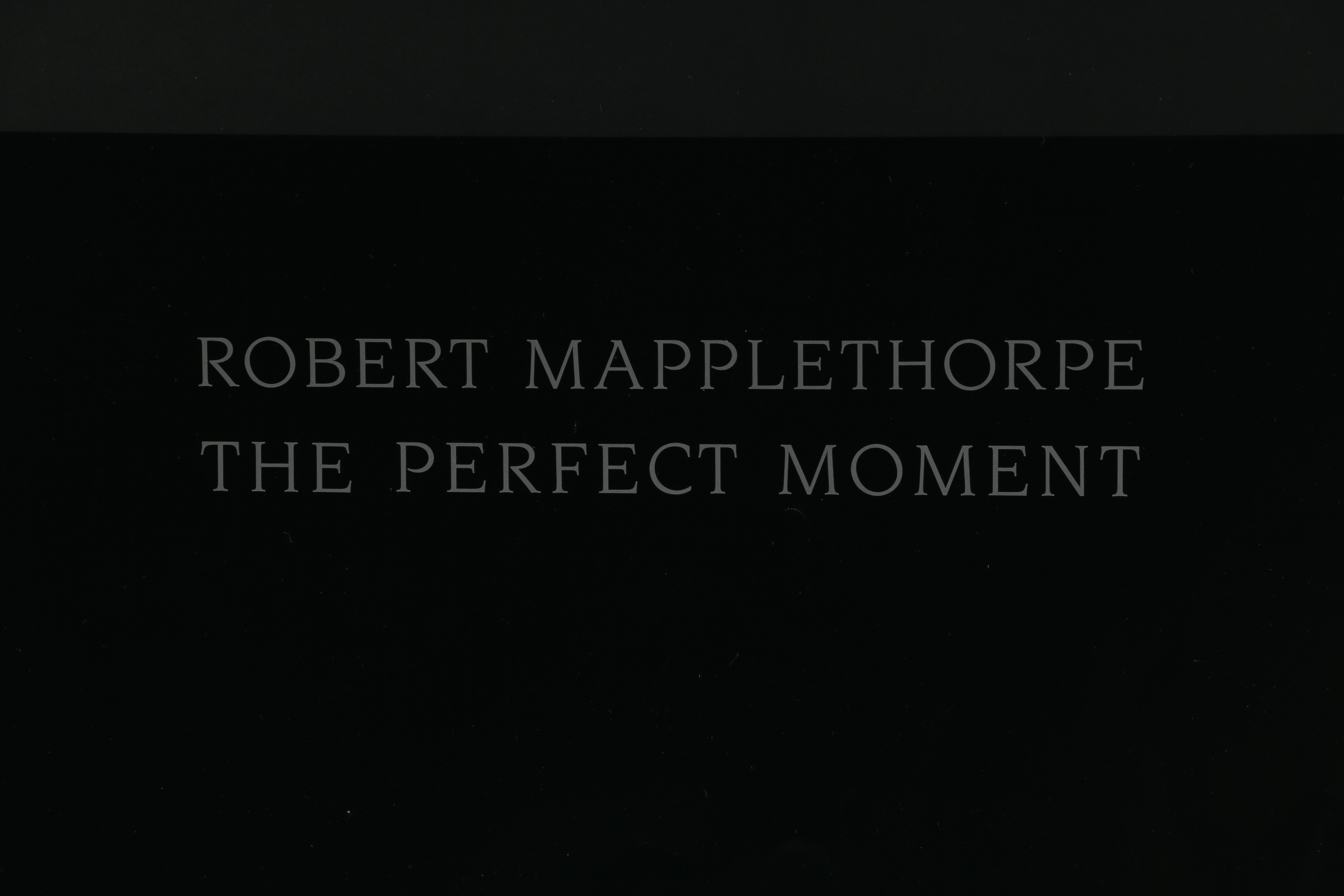 Robert Mapplethorpe Offset Lithograph Exhibition Poster