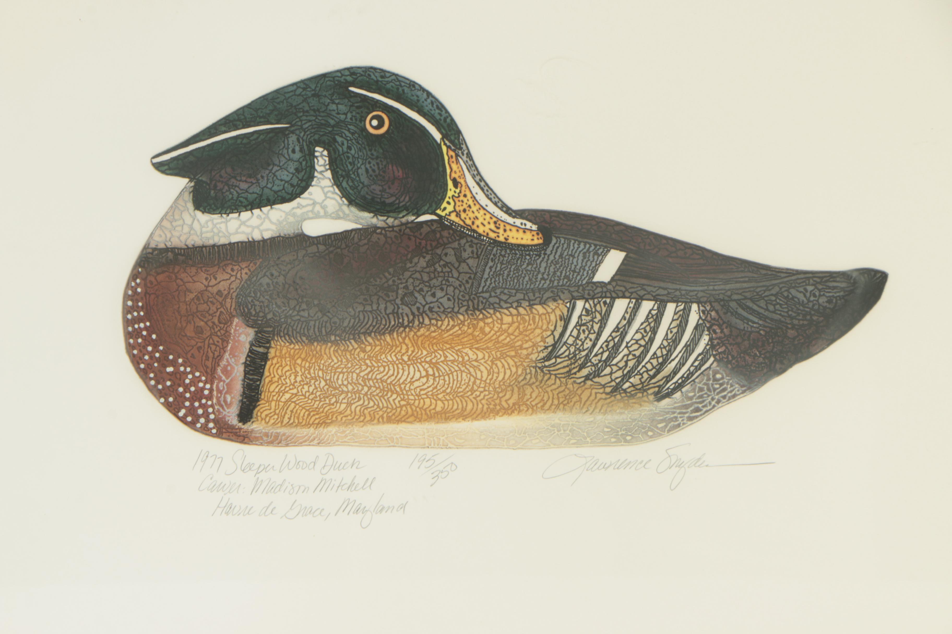 Lawrence Snyder Etching "Sleeper Wood Duck"
