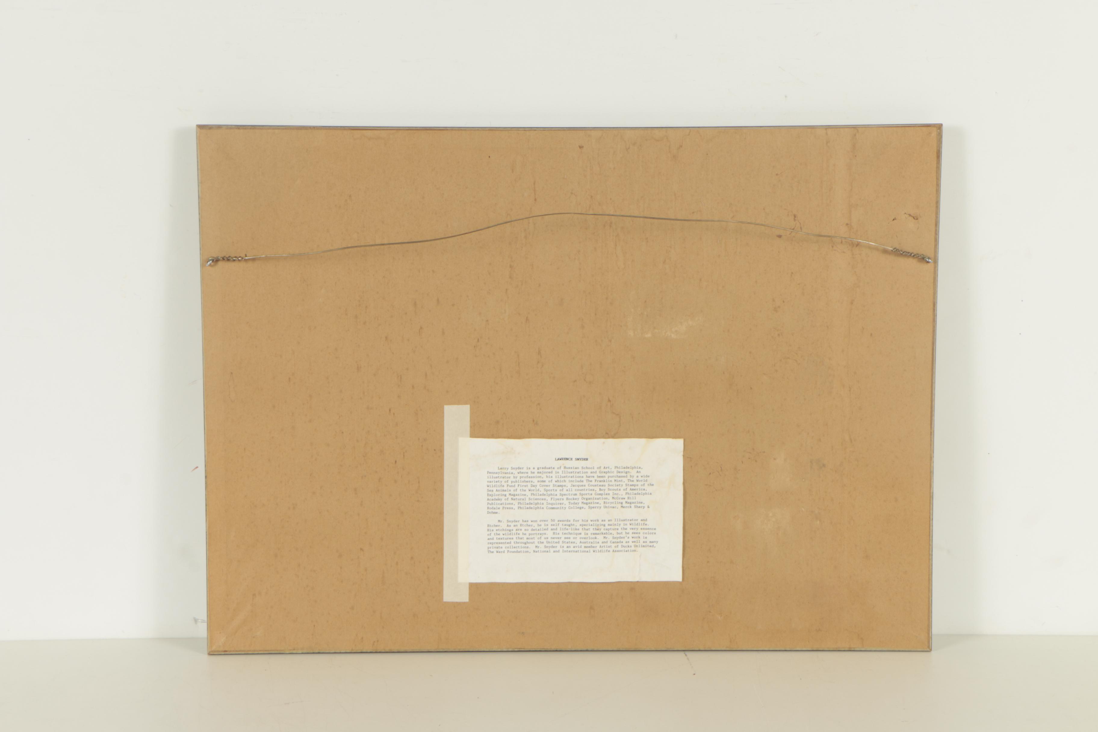 Lawrence Snyder Etching "Sleeper Wood Duck"