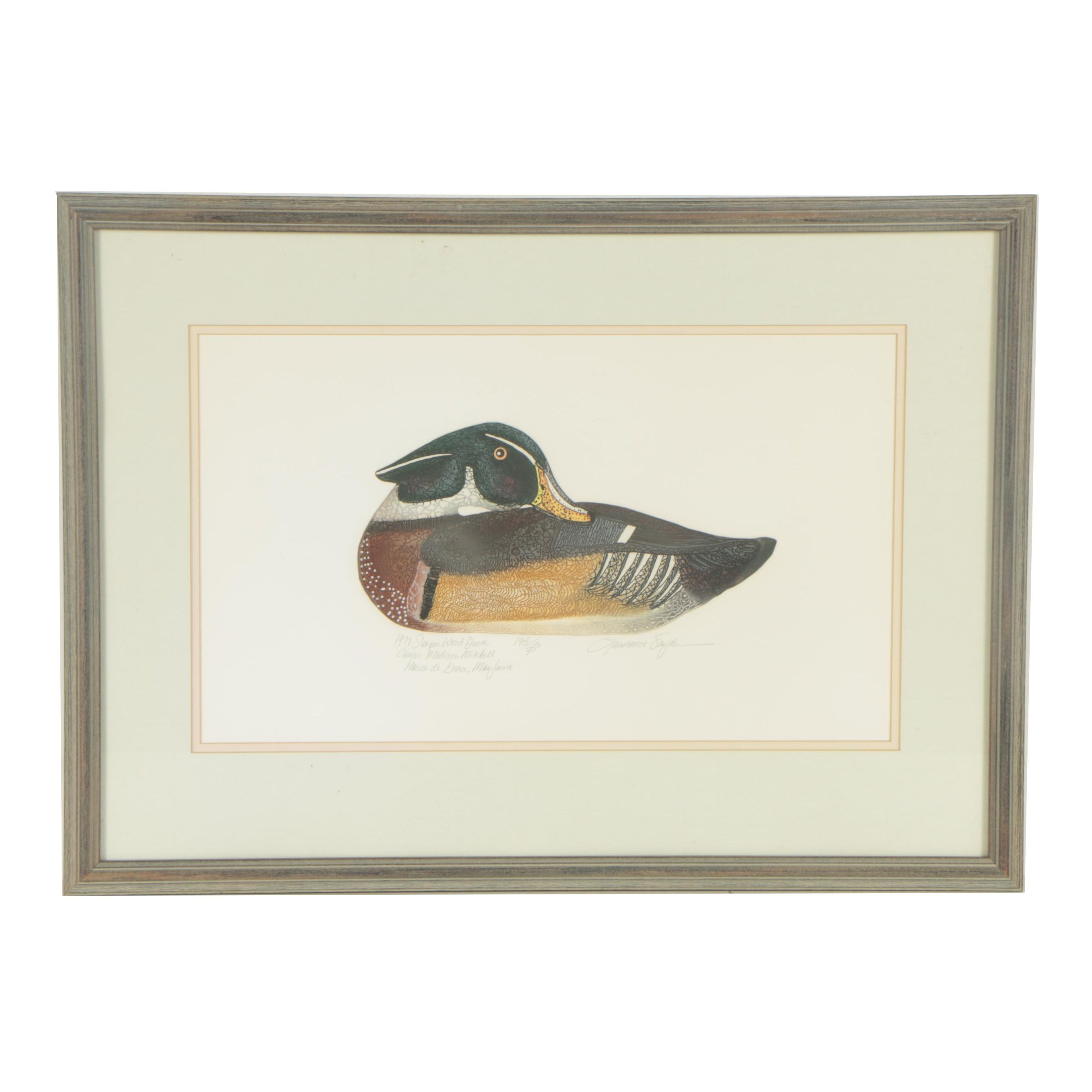 Lawrence Snyder Etching "Sleeper Wood Duck"