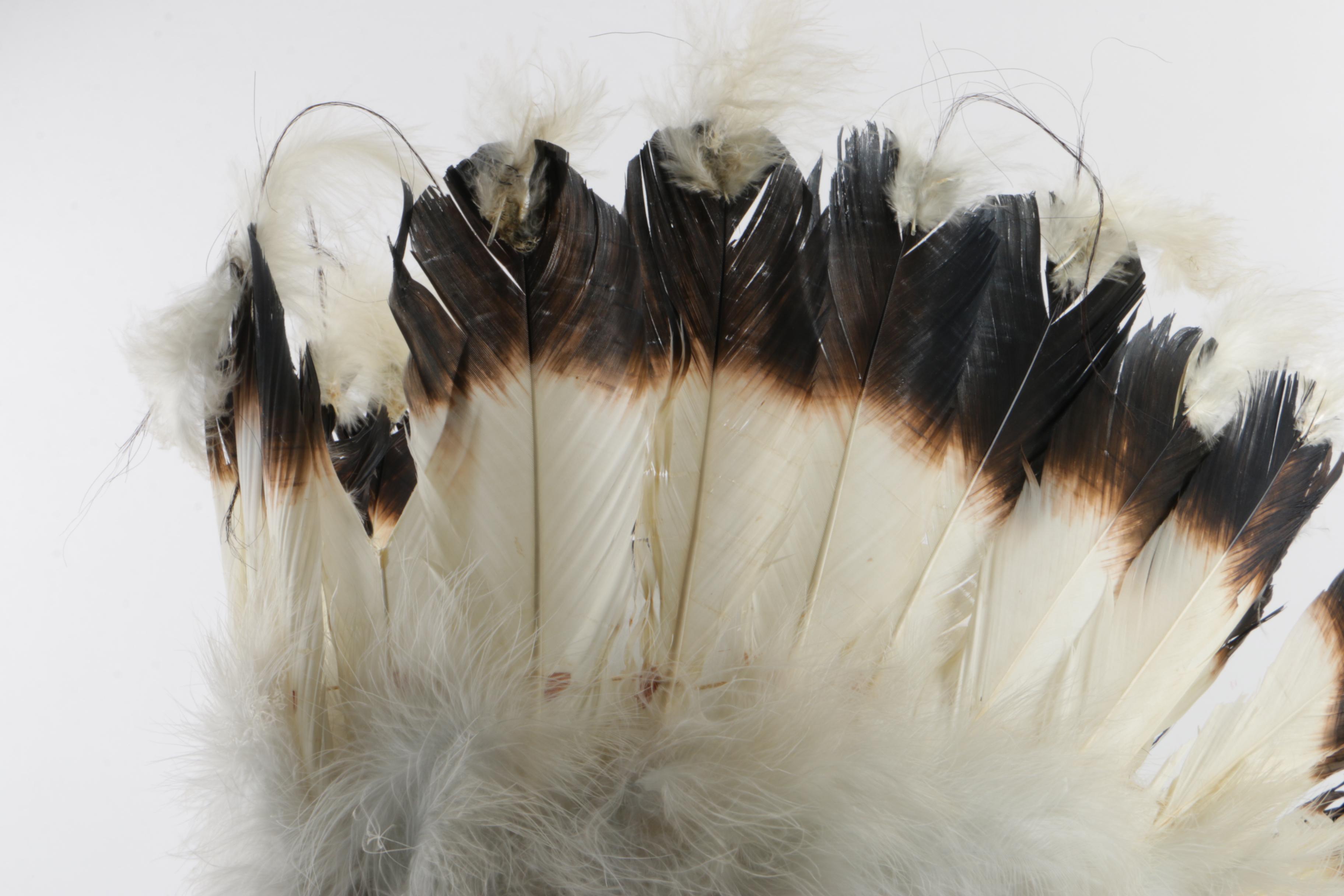 Native American Bonnet Headdress