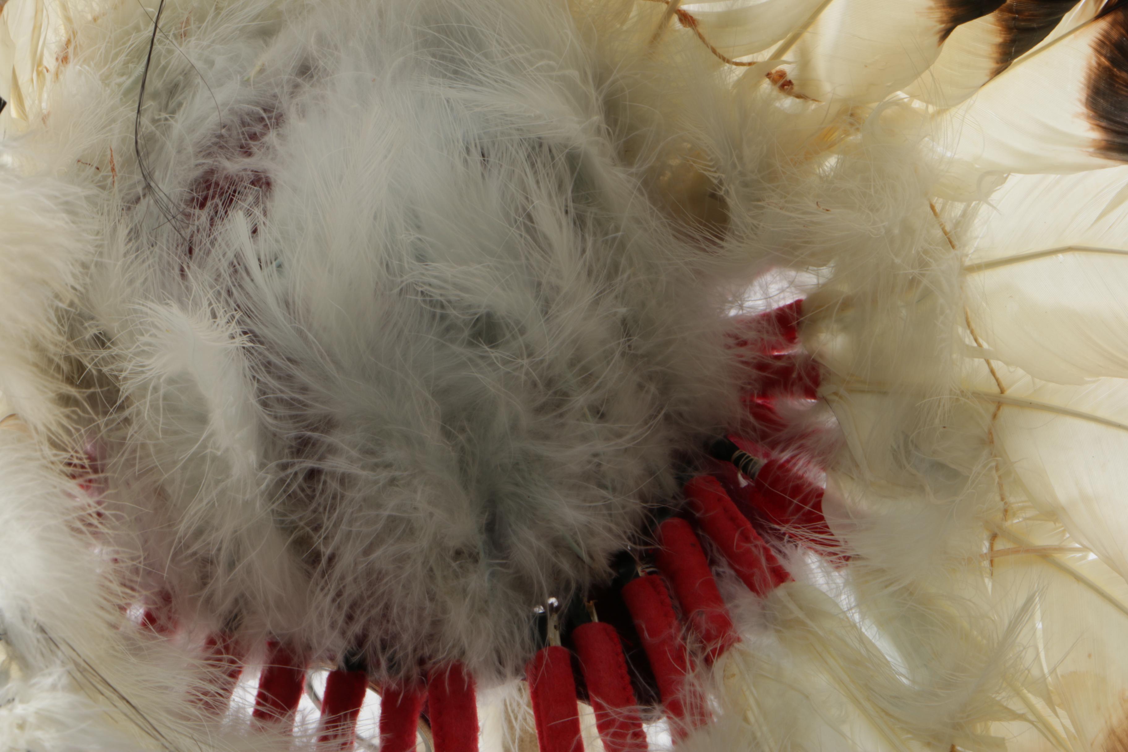 Native American Bonnet Headdress