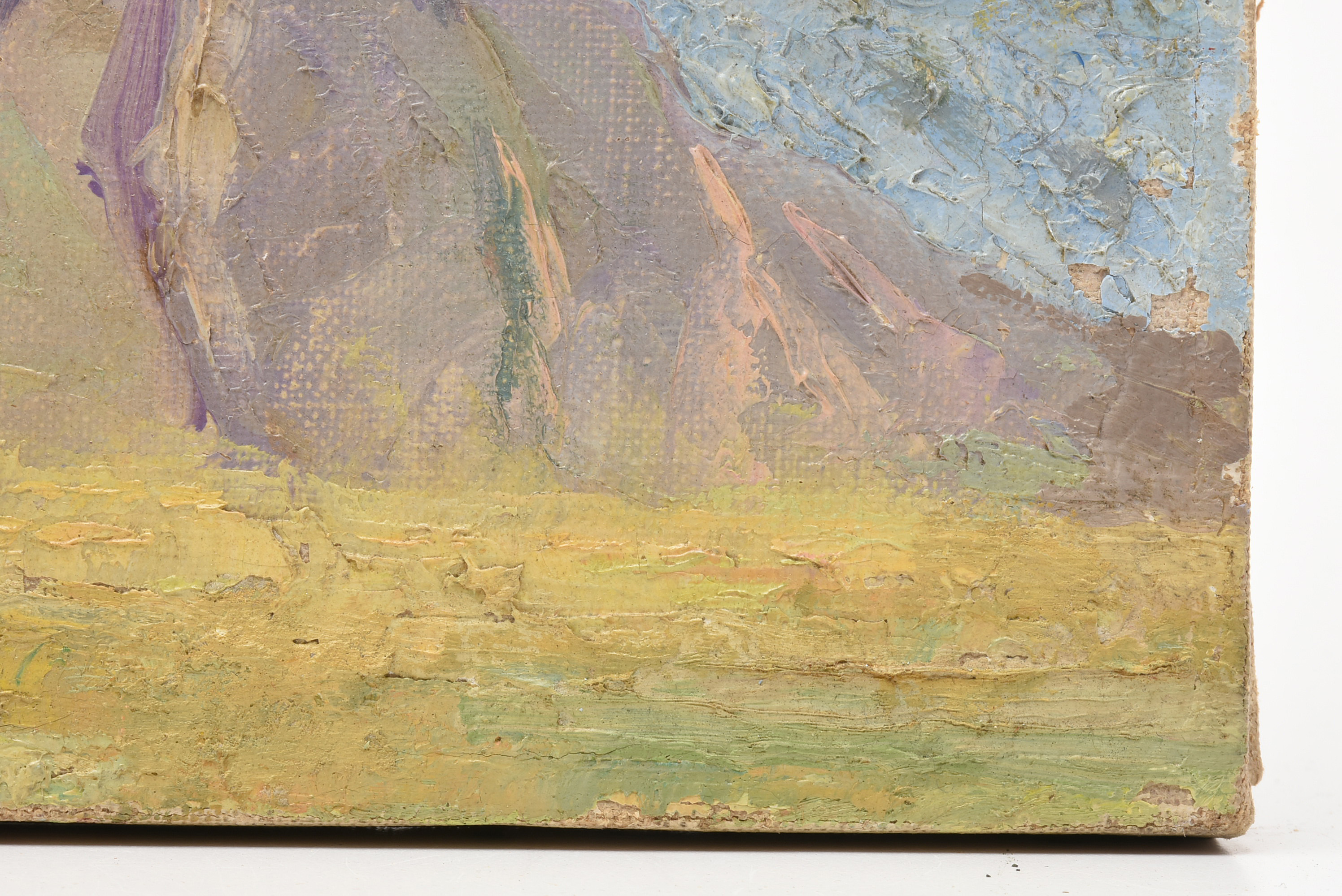 Henry Balink Oil Painting on Canvas Western Landscape