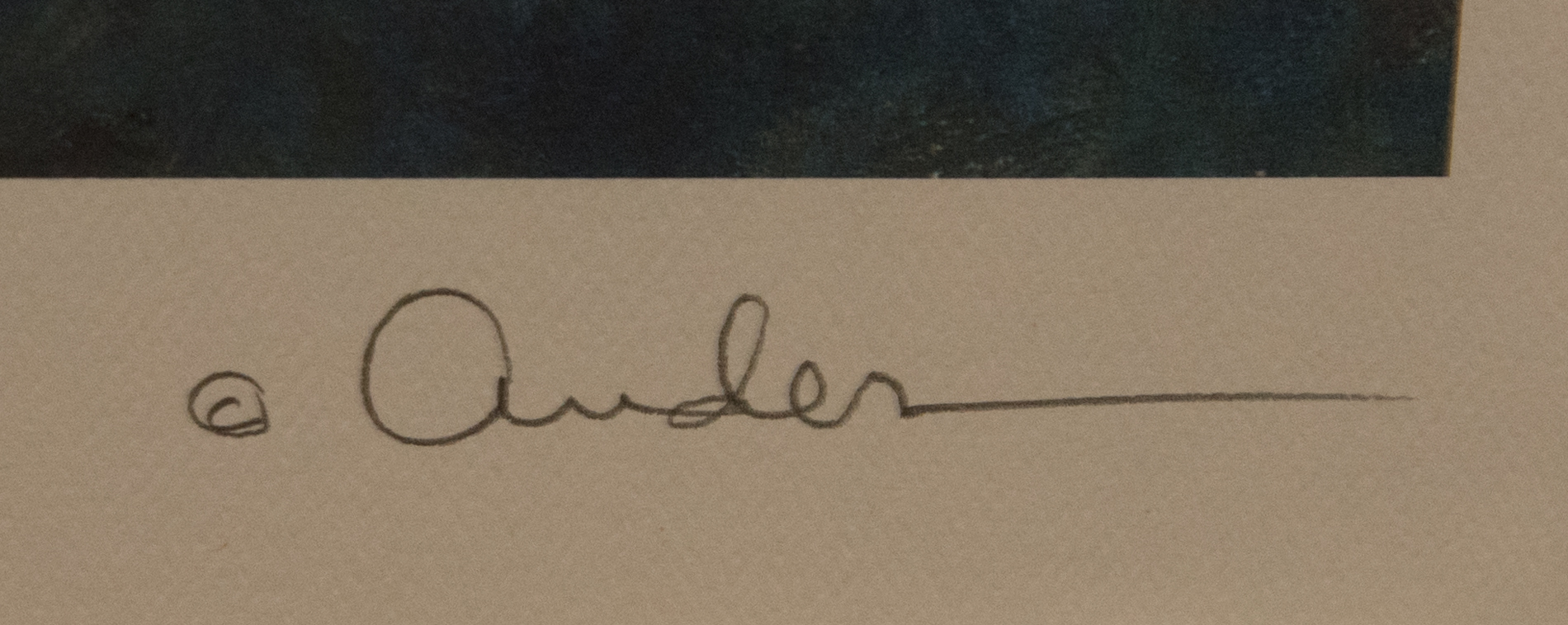 Ander Kase Ltd. Ed. Lithograph on Paper "Waterlilies VI"